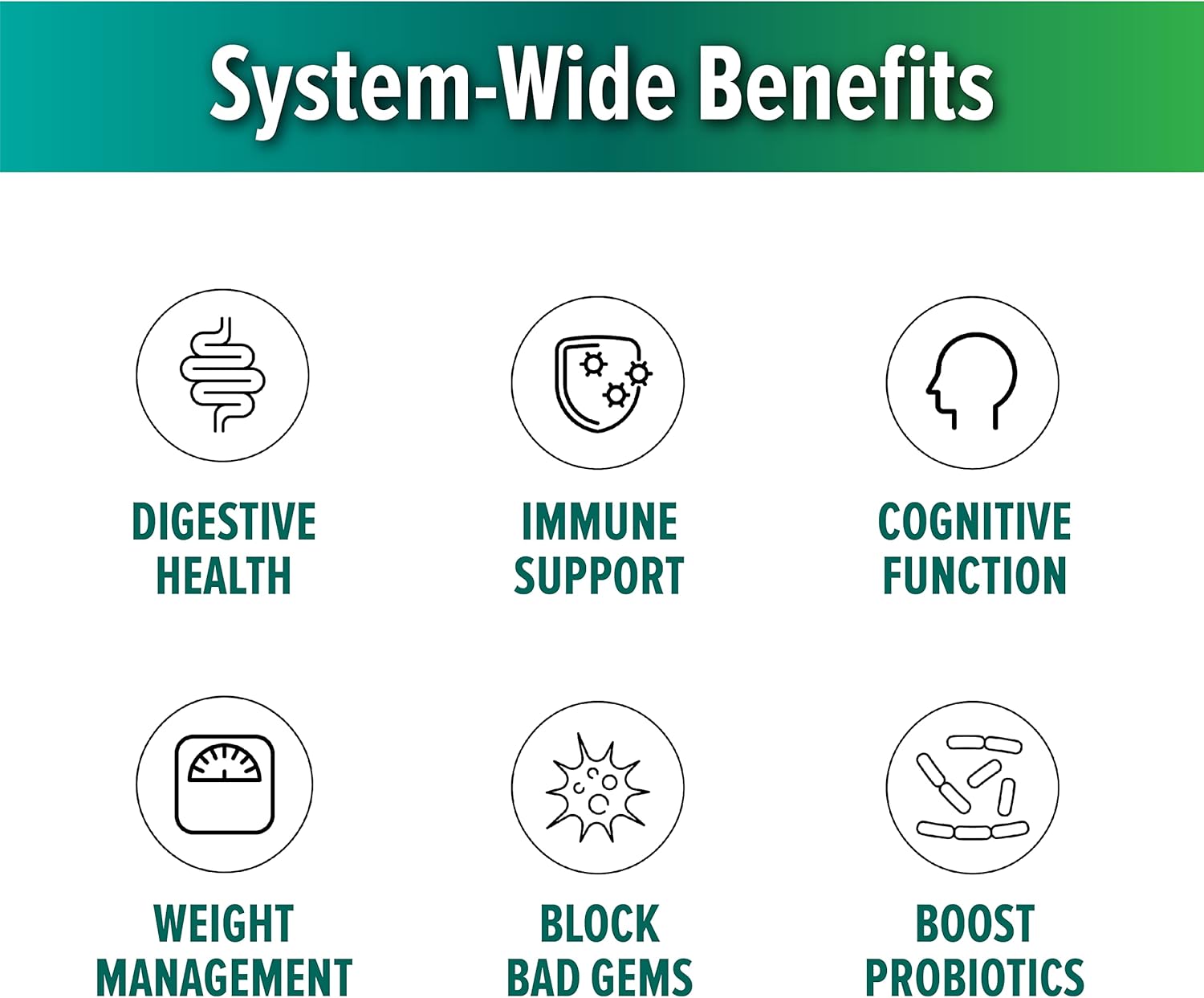 Layer Origin PureHMO Synbiotic Powder: 2000mg HMO Prebiotic + Probiotic, 10 Strains, 40 Billion CFU