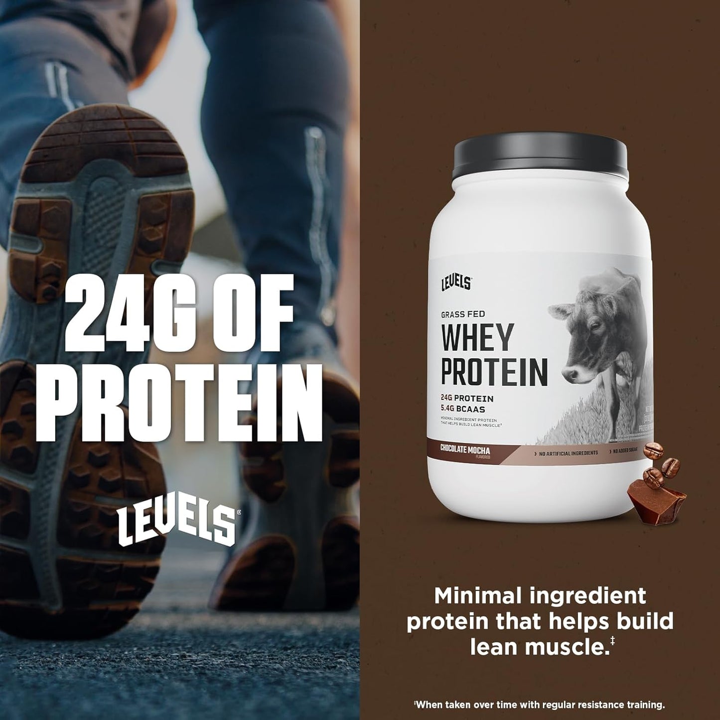 Levels Grass Fed Whey Protein Powder - Chocolate Mocha Flavor, 2LB, 24G Protein, No Artificial Ingredients