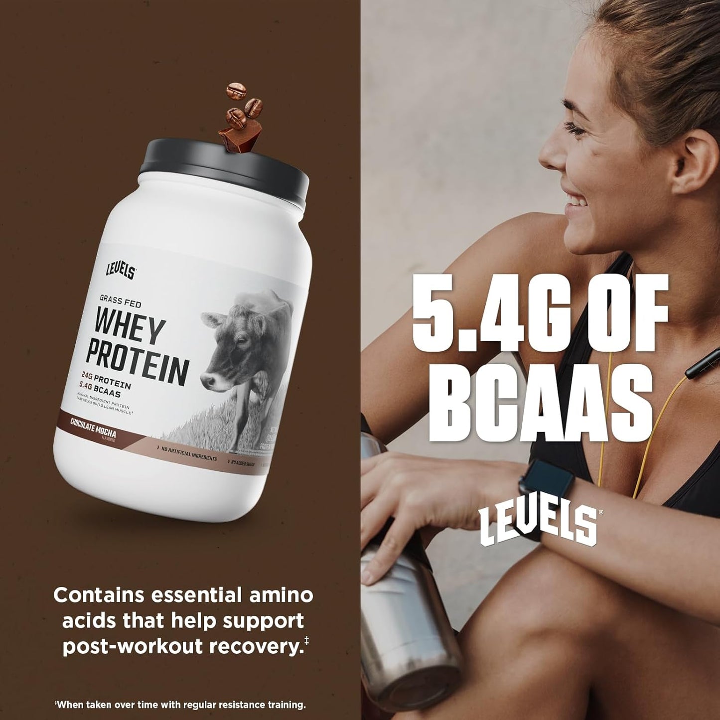 Levels Grass Fed Whey Protein Powder - Chocolate Mocha Flavor, 2LB, 24G Protein, No Artificial Ingredients