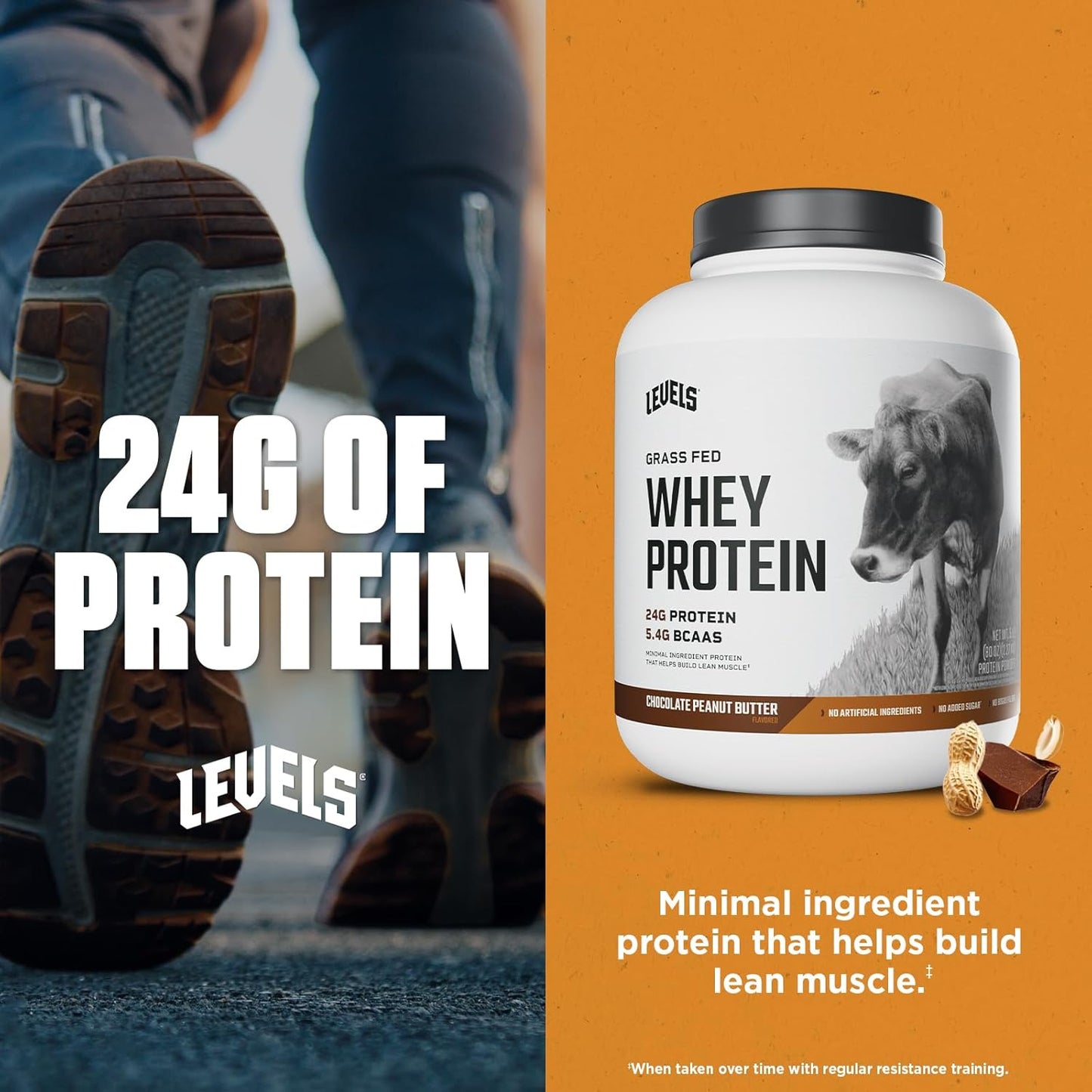 Levels Grass Fed Whey Protein Powder Chocolate Peanut Butter 5LB - 24G Protein, No Artificial Ingredients