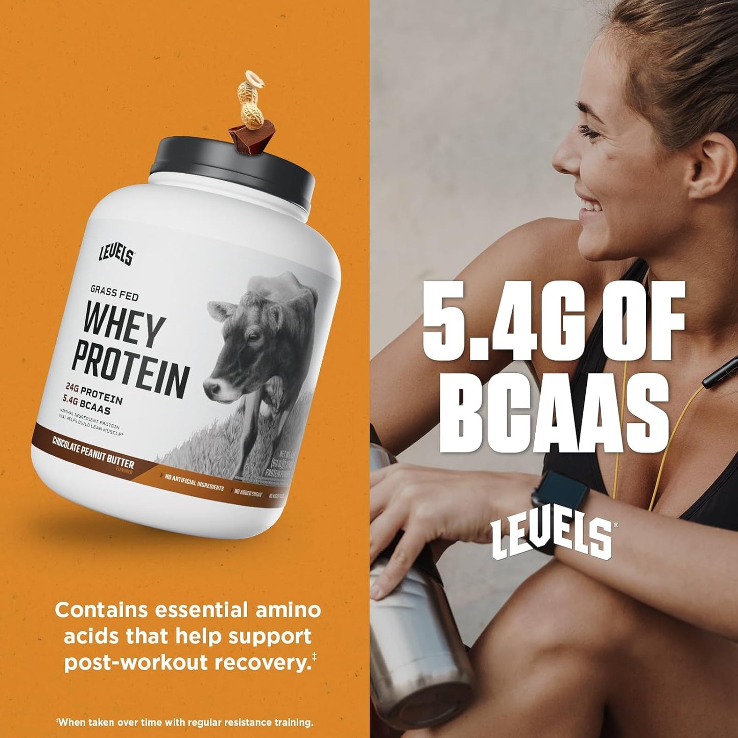 Levels Grass Fed Whey Protein Powder Chocolate Peanut Butter 5LB - 24G Protein, No Artificial Ingredients