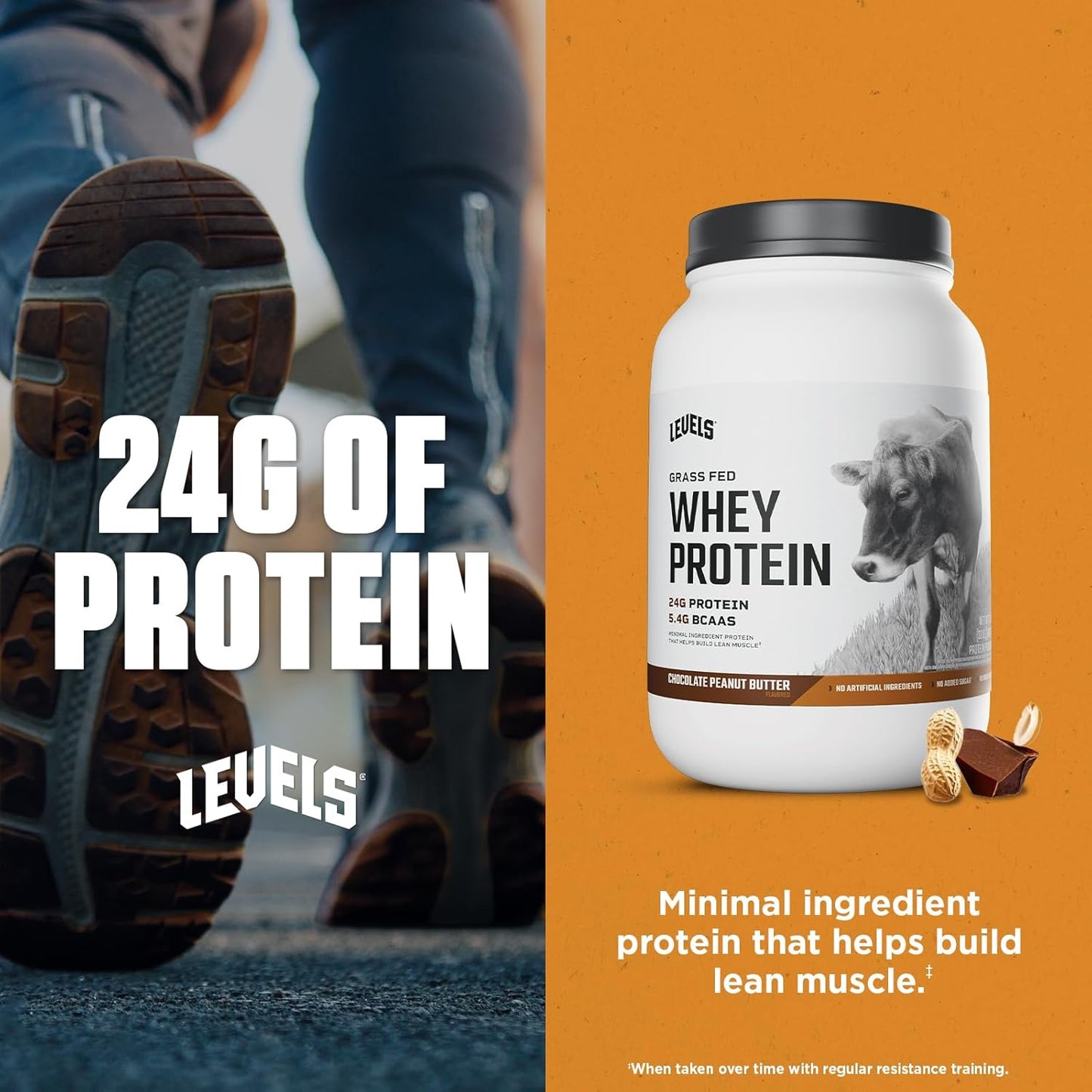 Levels Nutrition Grass Fed Whey Protein Powder - Chocolate Peanut Butter Flavor, 24g Protein, No Artificial Ingredients - 2LB Pack