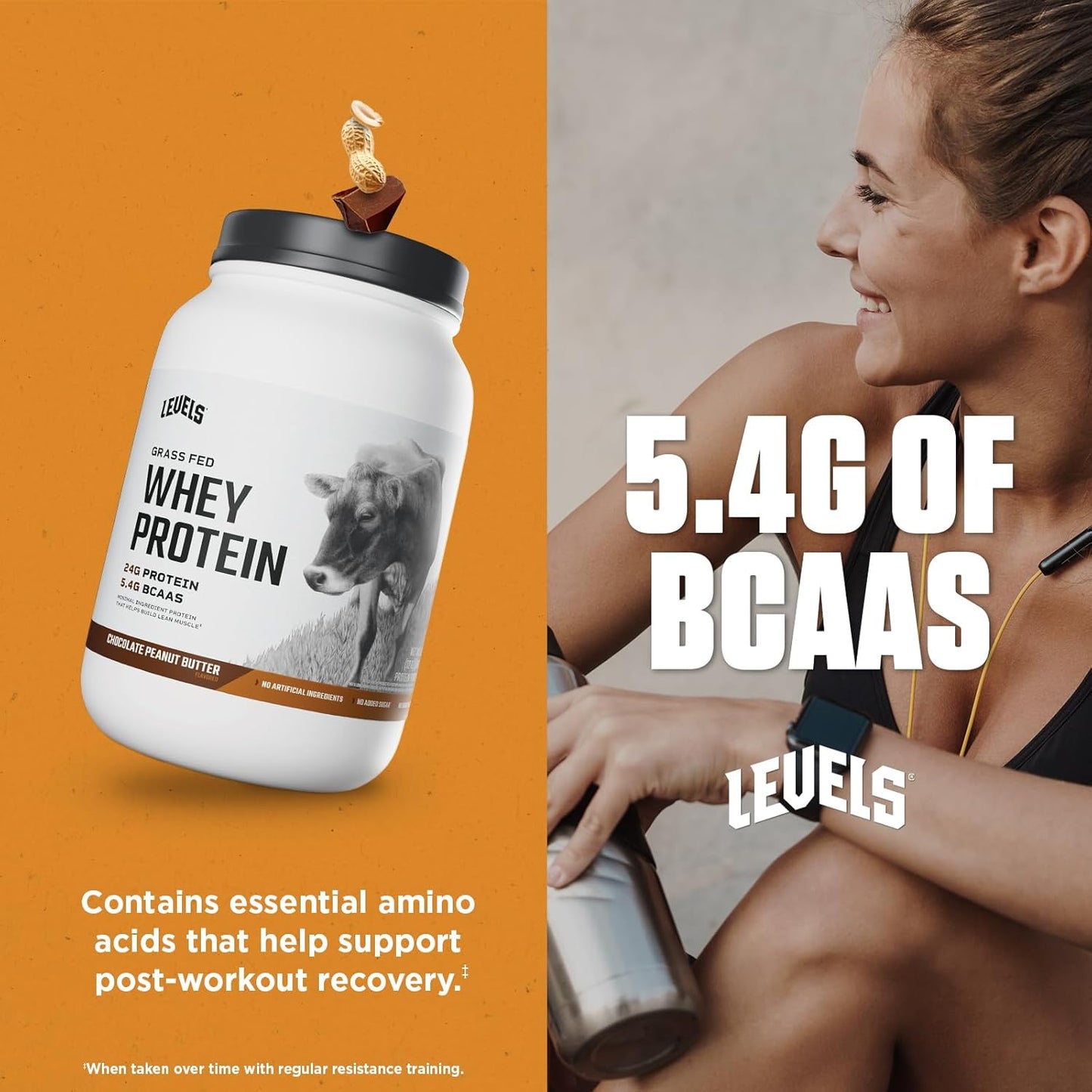 Levels Nutrition Grass Fed Whey Protein Powder - Chocolate Peanut Butter Flavor, 24g Protein, No Artificial Ingredients - 2LB Pack