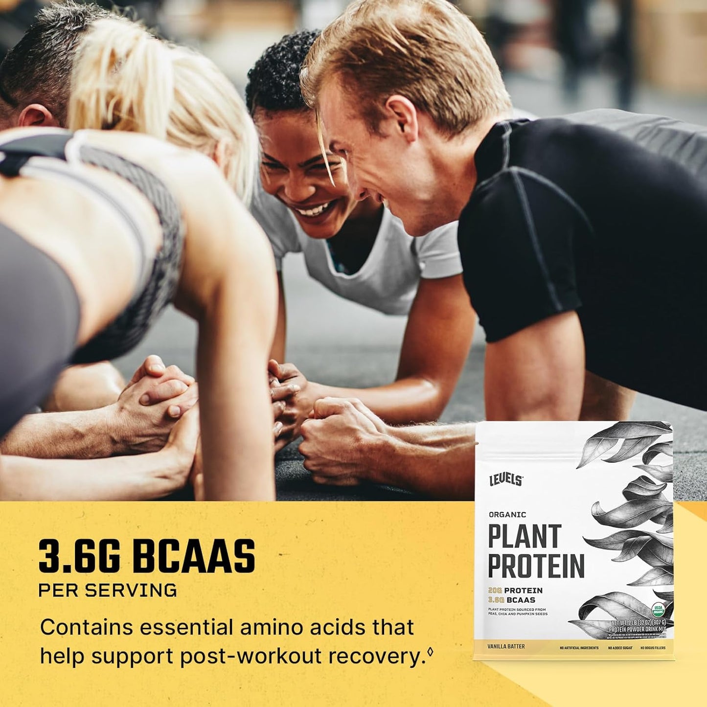 Levels Organic Plant Protein Powder - 20G Protein, No Artificial Ingredients, Vanilla Batter Flavor, 2LB Jar