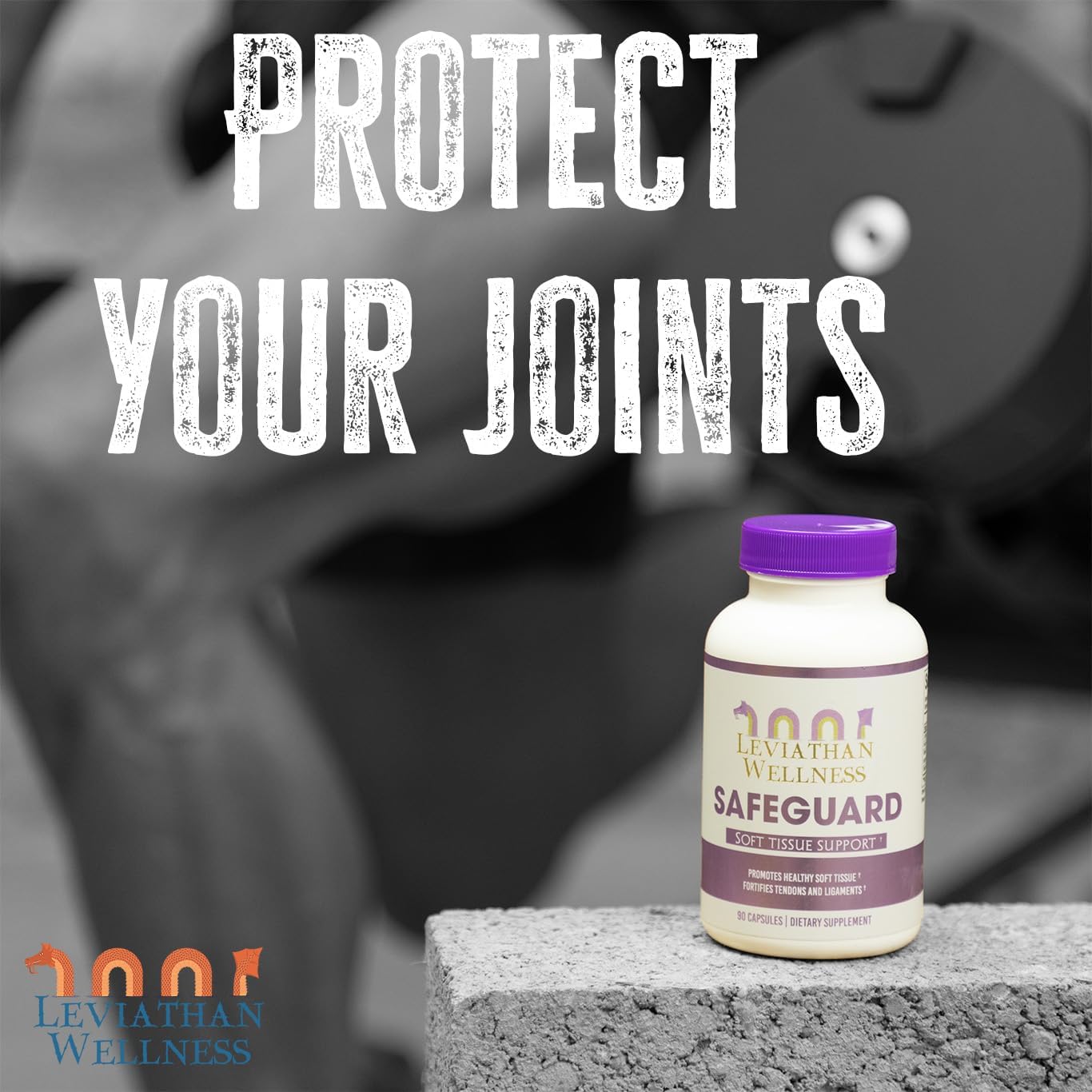Leviathan Wellness Safeguard - Support for Joints and Soft Tissues
