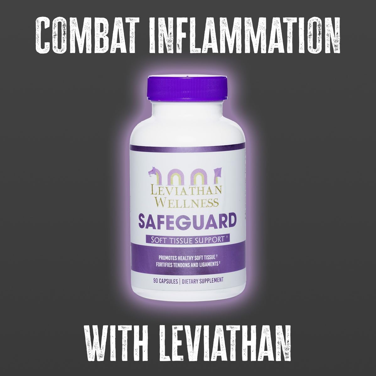 Leviathan Wellness Safeguard - Support for Joints and Soft Tissues