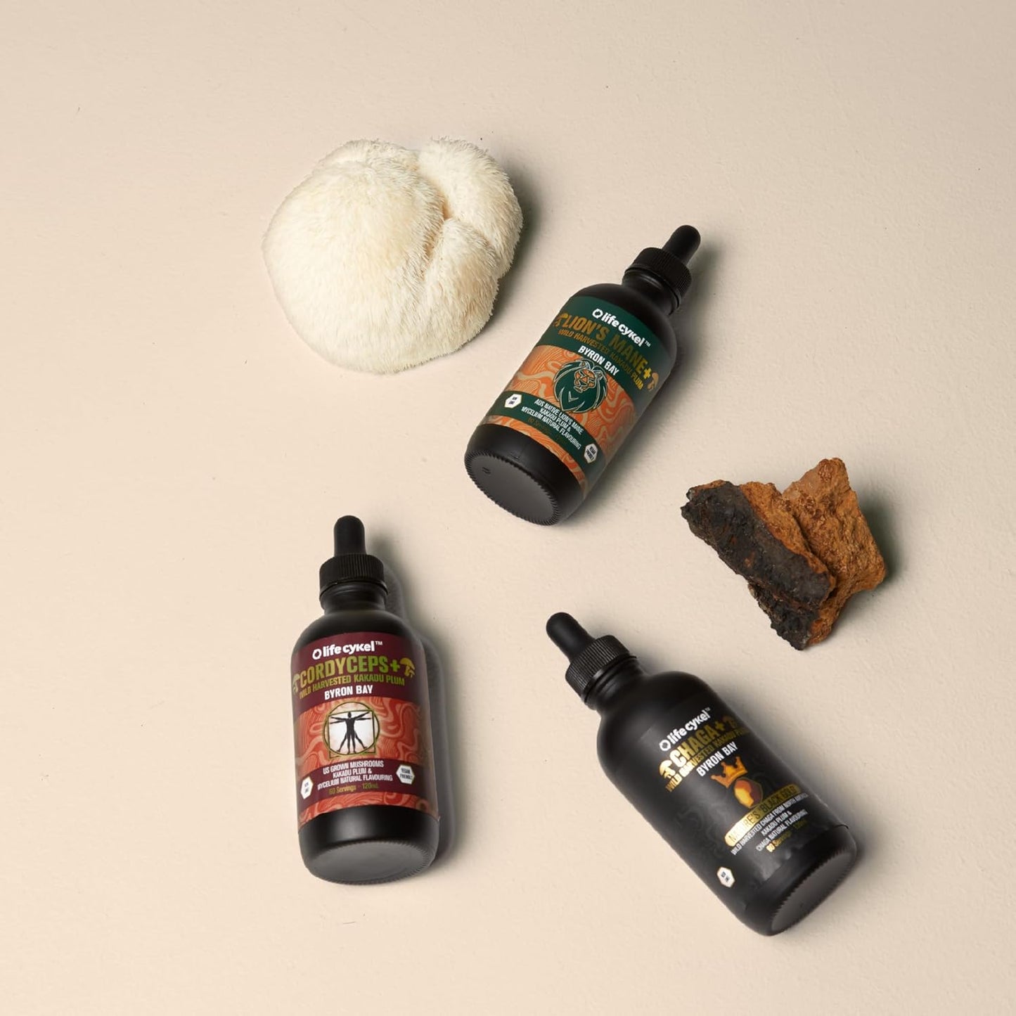 Life Cykel Lifecykel Full-Spectrum Mushroom Extract Pack - Chaga, Lions Mane, Cordyceps - Energy, Mental Clarity, Immune Support - Vegan, Non-GMO - 2Fl/Oz