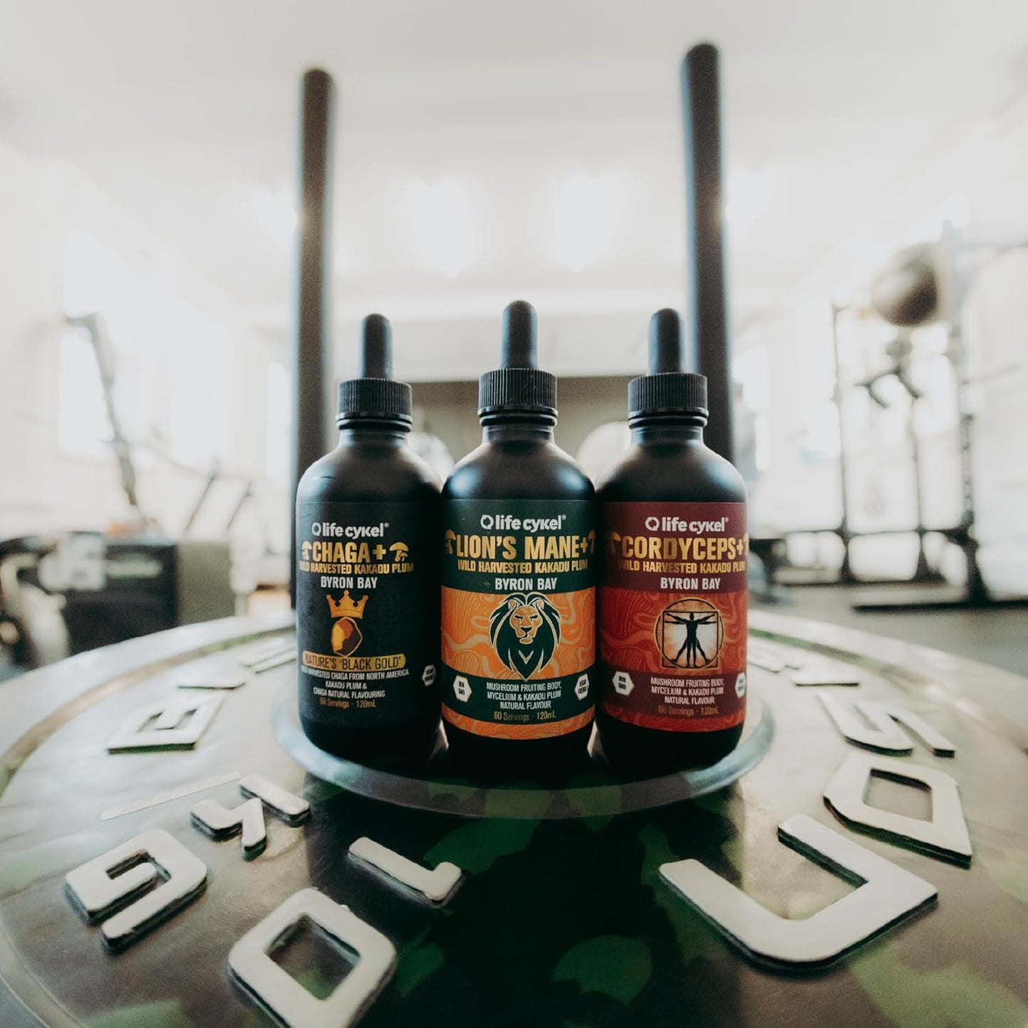 Life Cykel Lifecykel Full-Spectrum Mushroom Extract Pack - Chaga, Lions Mane, Cordyceps - Energy, Mental Clarity, Immune Support - Vegan, Non-GMO - 2Fl/Oz