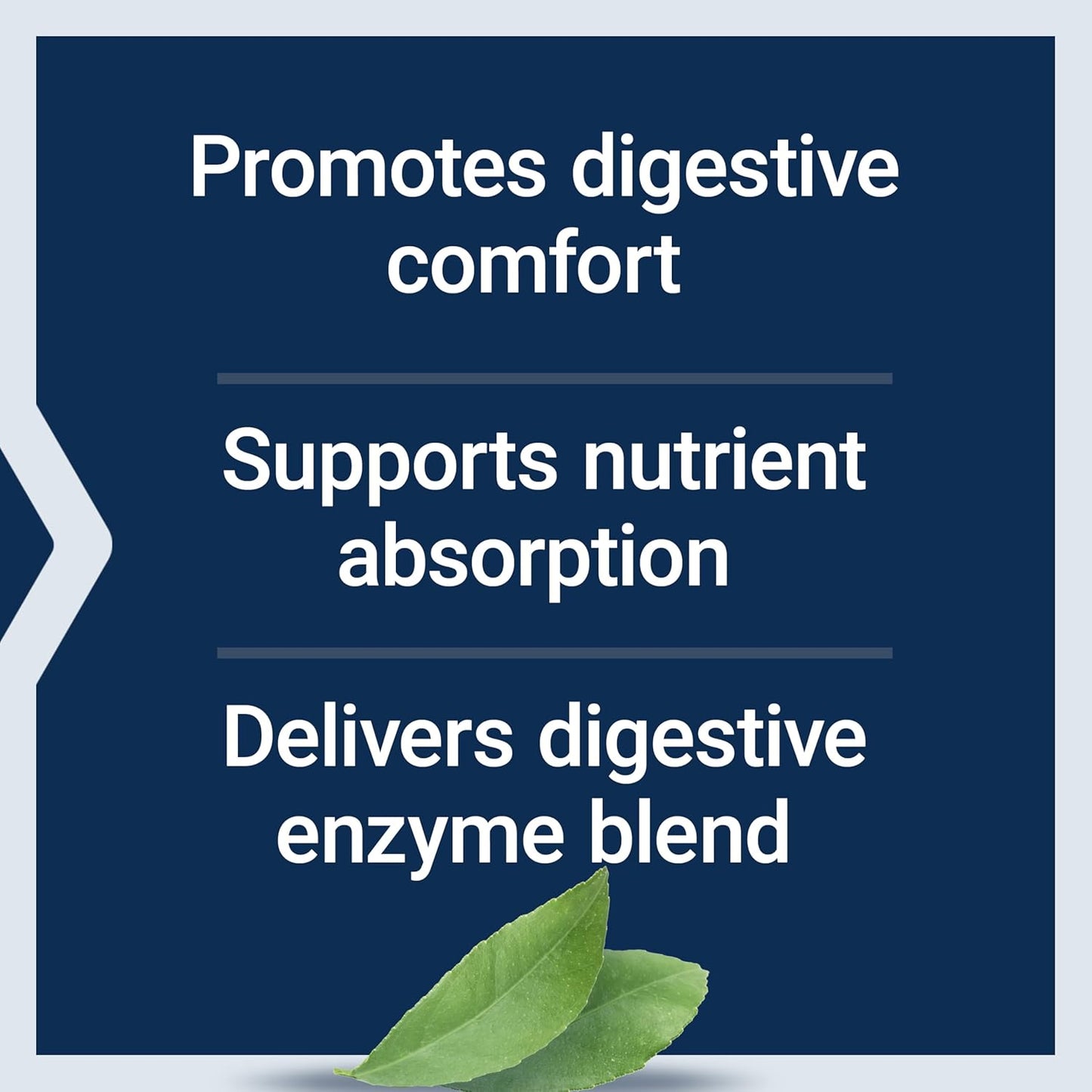 Life Extension Extraordinary Enzymes - Digestive Health Support for Optimal Nutrient Absorption - Non-GMO Digestive Enzymes - 60 Capsules