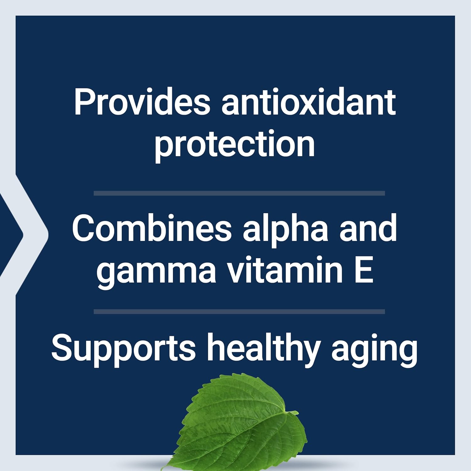 Life Extension Gamma E Mixed Tocopherols Softgels with Sesame Lignans for Healthy Aging, Non-GMO, Gluten-Free - 60 Count