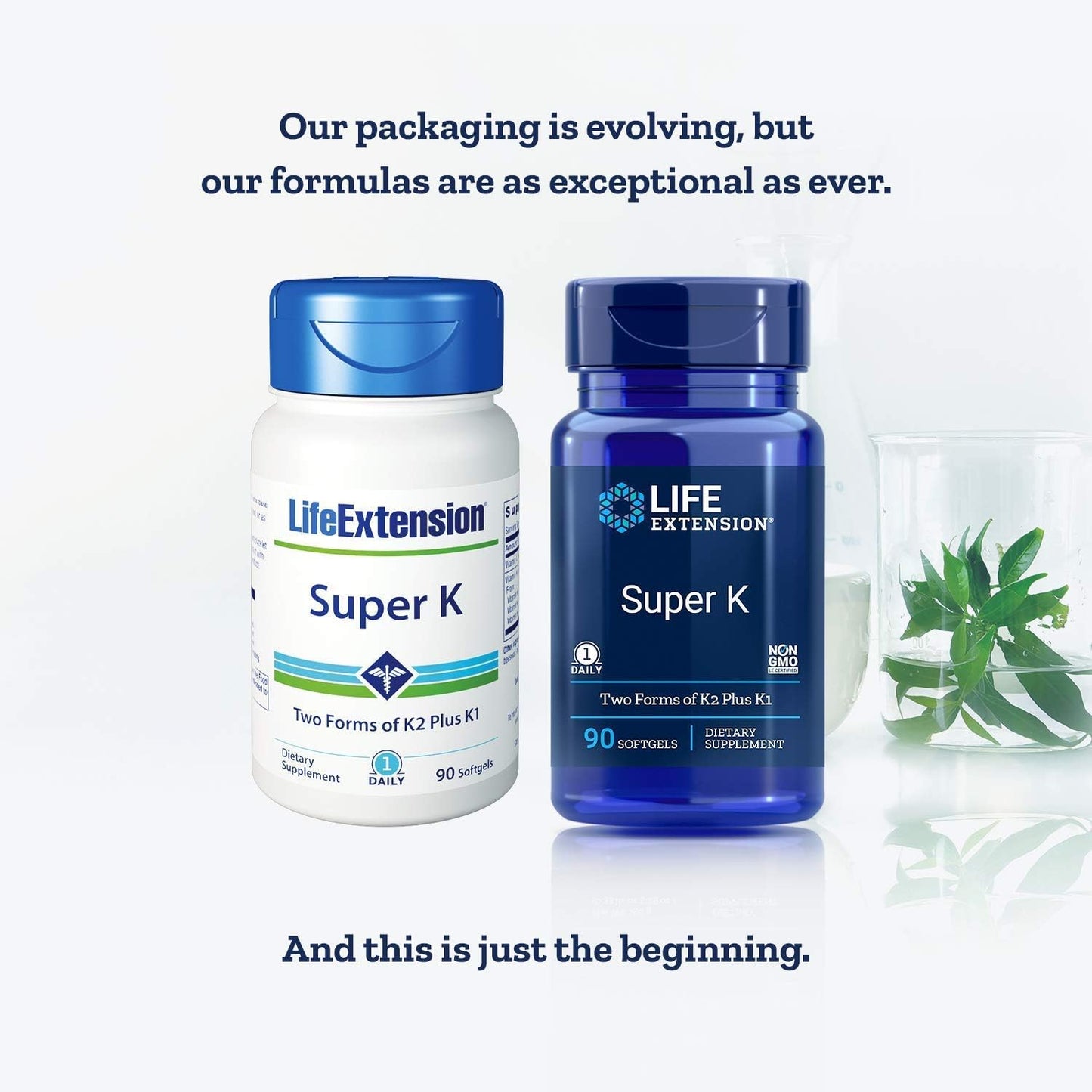 Life Extension Super K Softgels - 90 Count (Pack of 3) - Vitamin K Supplement for Health and Wellness