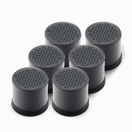 LifeStraw Go 2-Stage Water Filter Bottle Replacement Filters - 1 Year Supply (6 Carbons) for Hiking, Camping, Travel - Long Lasting Filtration