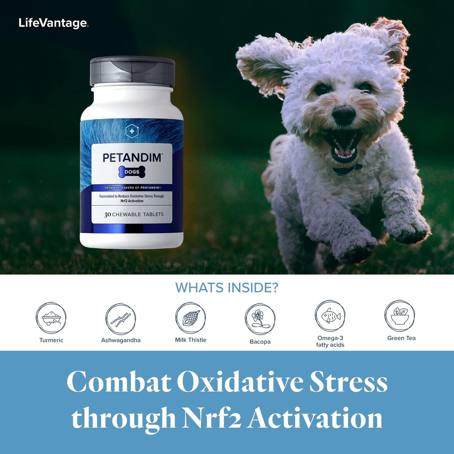 LifeVantage Petandim Dog Vitamins - Chewable Tablets for Joint, Skin, Coat - Bacon, Chicken, Liver Flavored - Reduce Oxidative Stress