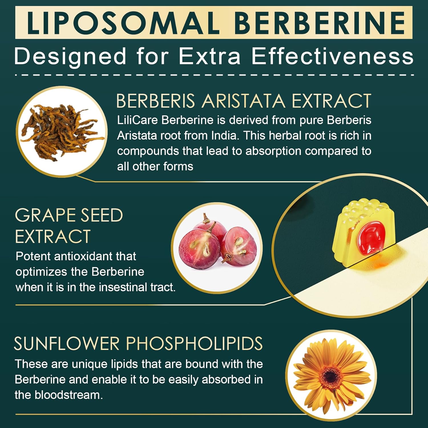 LILICARE Berberine Liposomal Gummies 500mg with Ceylon Cinnamon for Balanced Metabolism - Vegan, Sugar Free, High Absorption - 60 Count