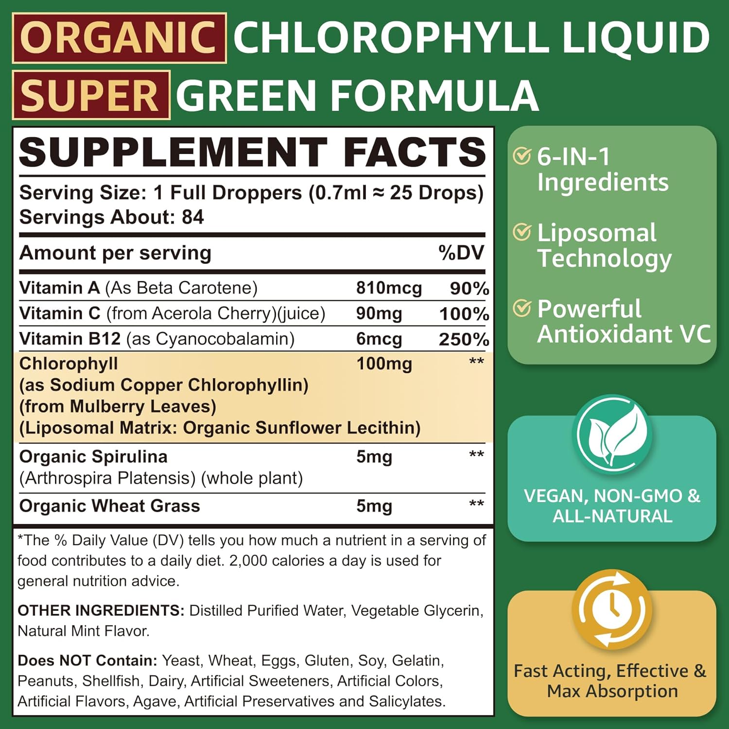 LILICARE Liposomal Chlorophyll Spirulina Drops with Wheatgrass, Vitamin C, B12, A - Internal Deodorant, Energy, Skin Health, Digestion - 2 Packs/4 Fl Oz