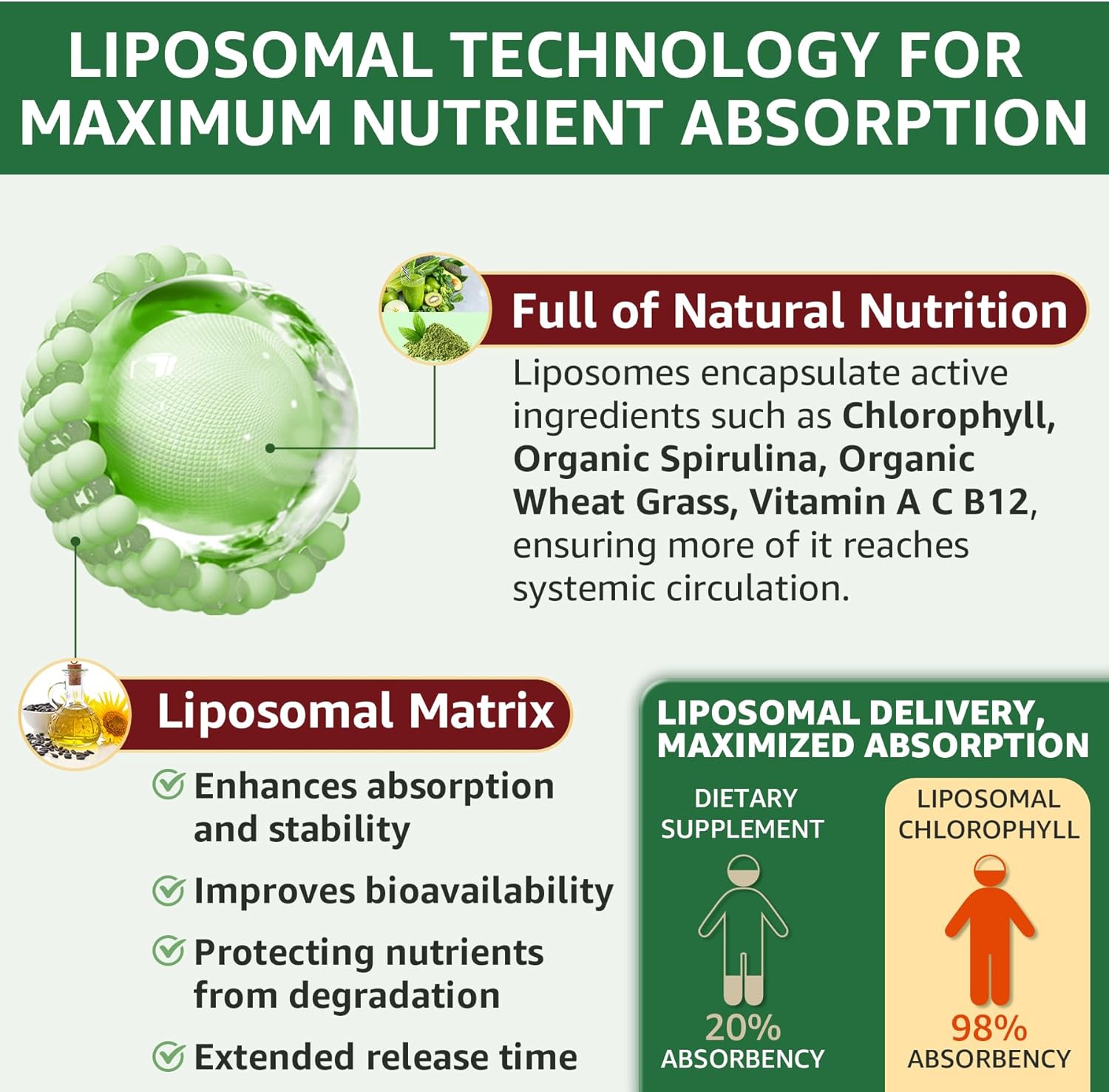 LILICARE Liposomal Chlorophyll Spirulina Drops with Wheatgrass, Vitamin C, B12, A - Internal Deodorant, Energy, Skin Health, Digestion - 2 Packs/4 Fl Oz