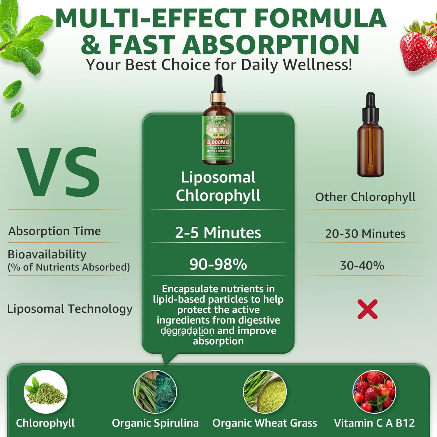 LILICARE Liposomal Chlorophyll Spirulina Drops with Wheatgrass, Vitamin C, B12, A - Internal Deodorant, Energy, Skin Health, Digestion - 2 Packs/4 Fl Oz