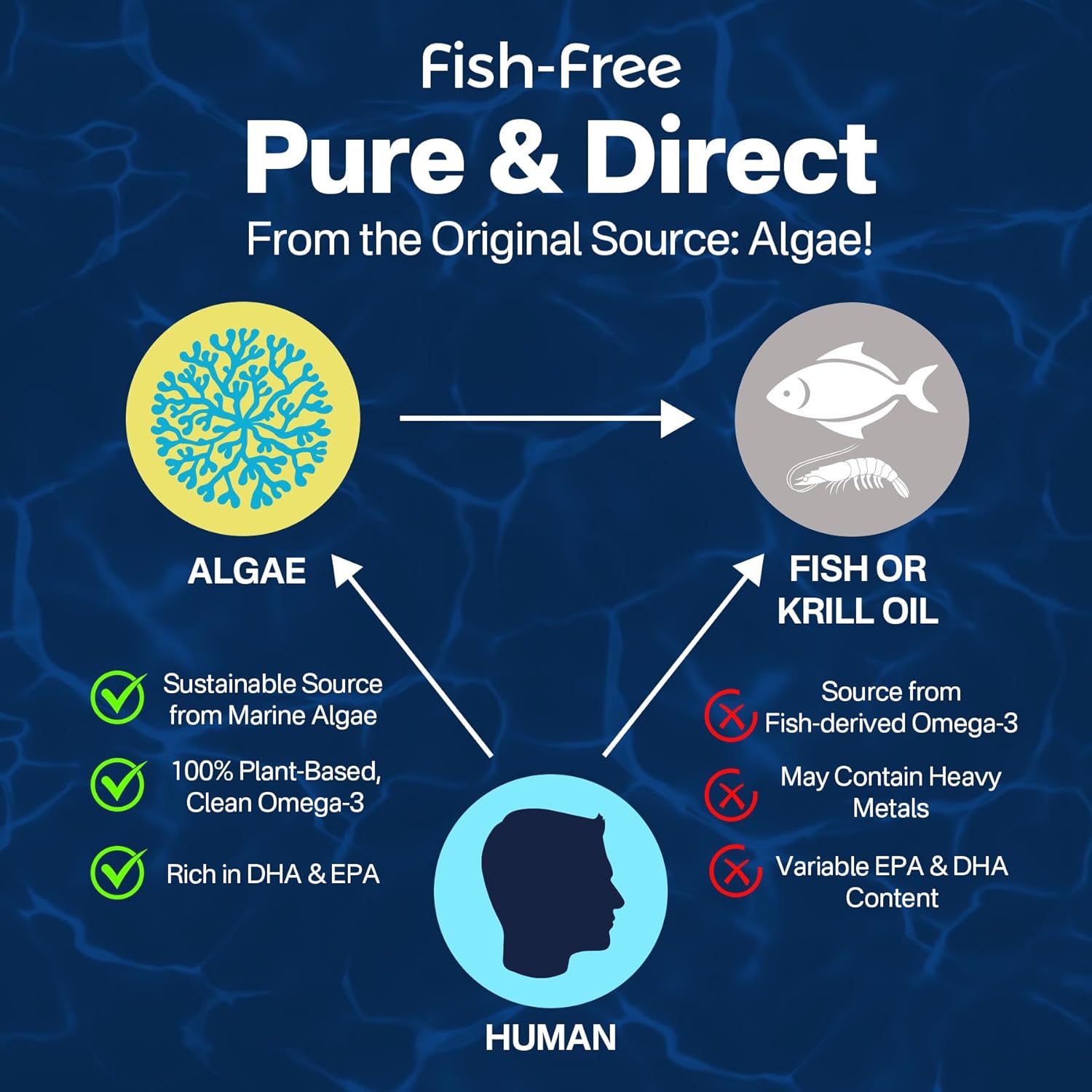 LILICARE Vitamin B Complex Gummies & Plant-Based Omega 3 1200mg Supplement