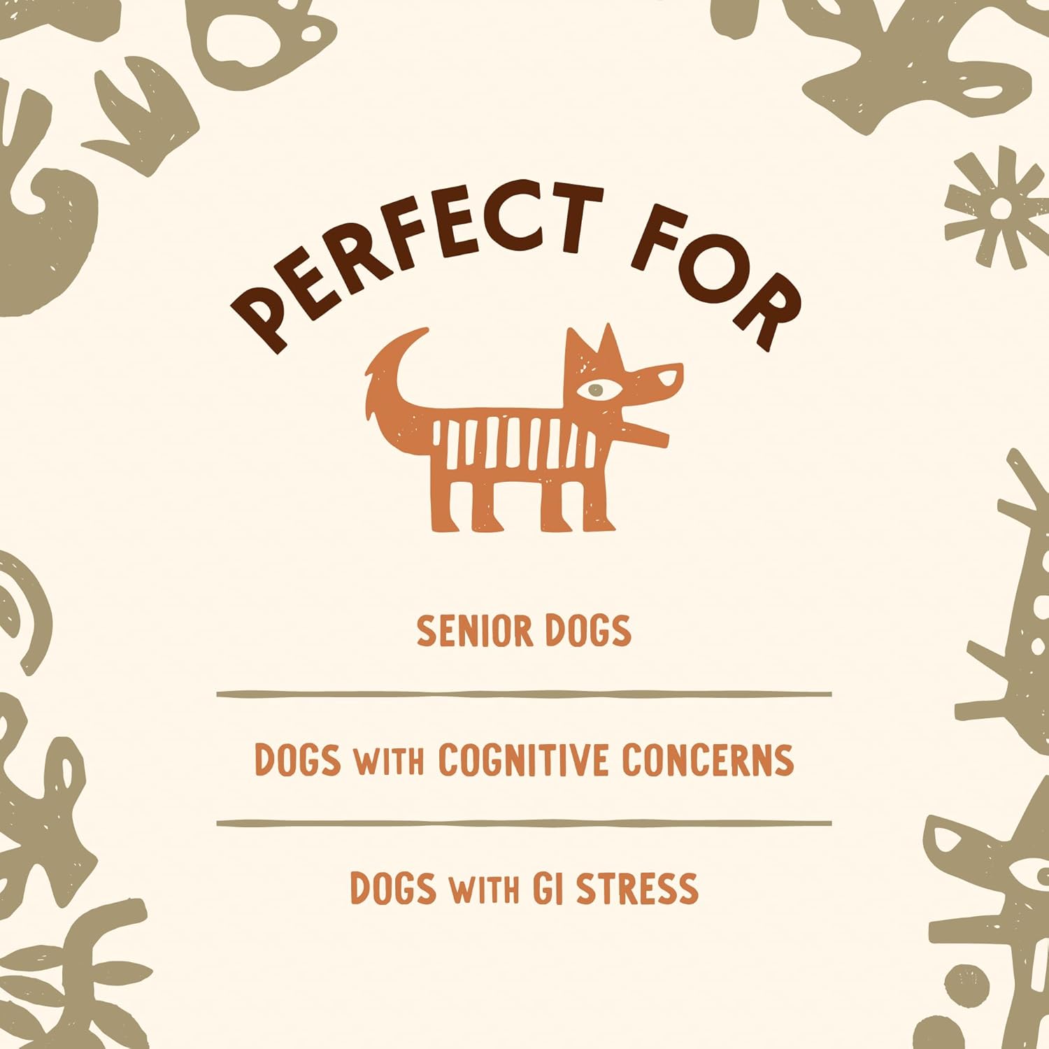 Lion's Mane Mushroom Mycelium Powder with Dog Probiotics for Brain and Digestive Health, 90 Servings