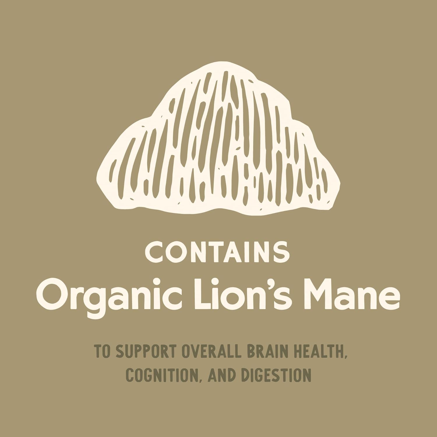 Lion's Mane Mushroom Mycelium Powder with Dog Probiotics for Brain and Digestive Health, 90 Servings