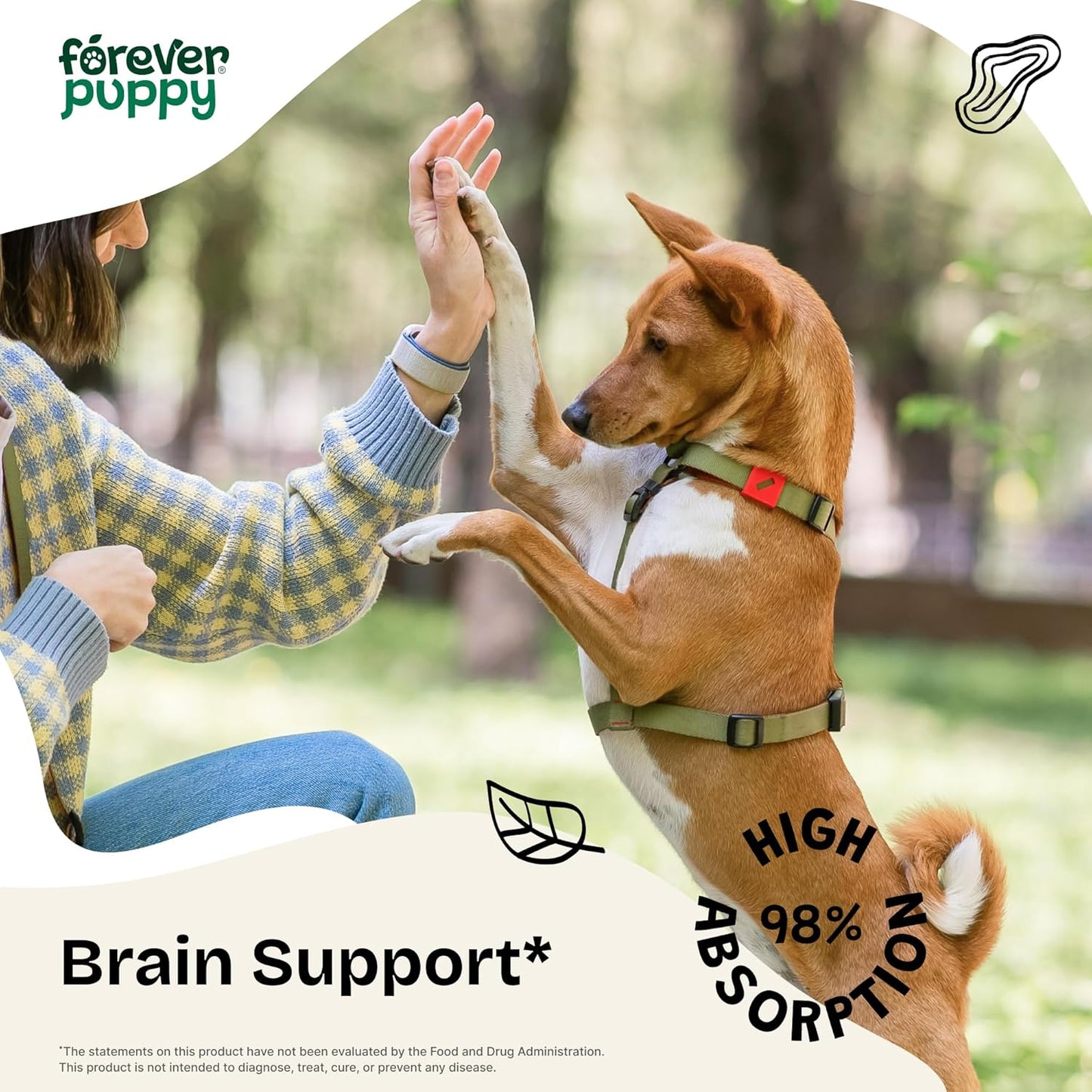 Lion's Mane Mushroom Supplement for Dogs - Brain Support Drops - Canine Vitamins - Alcohol-Free - 2 fl oz