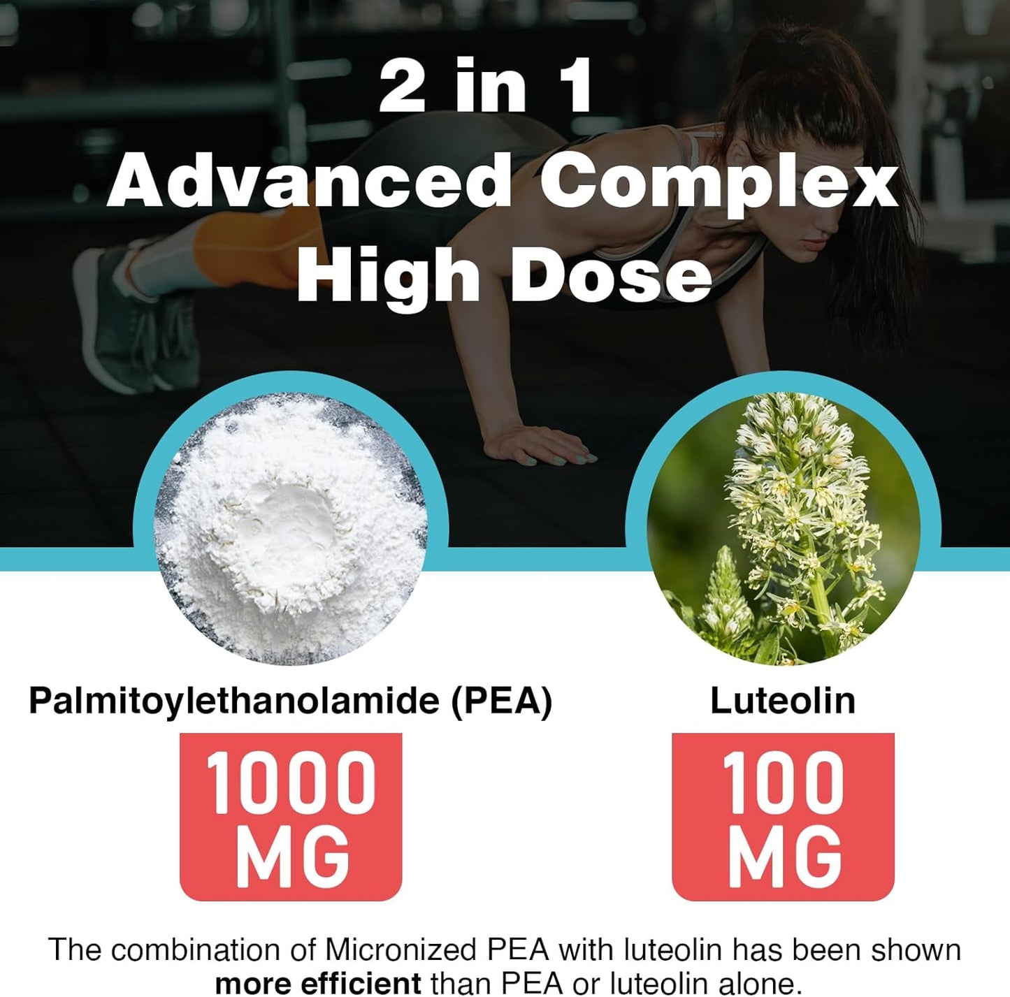 Liposomal Palmitoylethanolamide with Luteolin - Enhanced Absorption, 240 Softgels