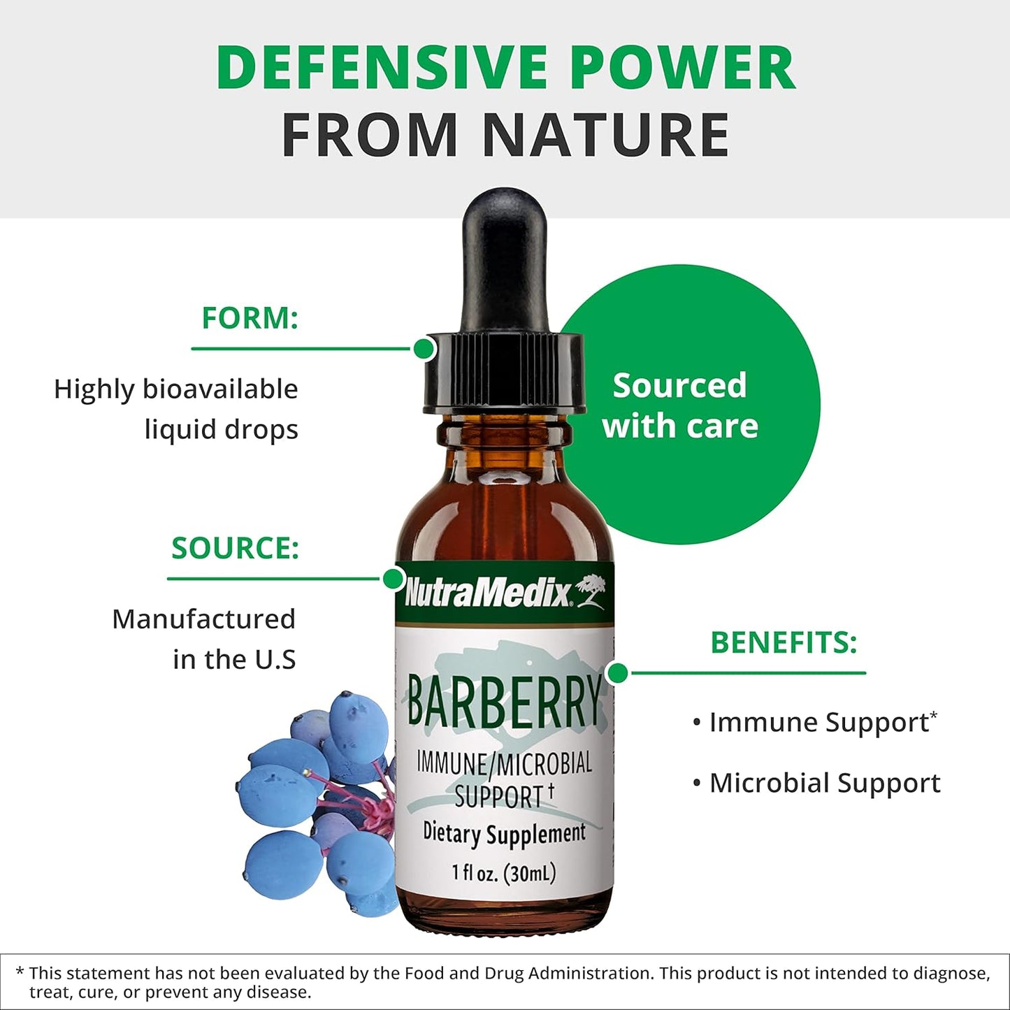 Liquid Barberry & Oregon Grape Root Extract for Gut Health & Immune Support - Herbal Tincture for Microbial Support - 1oz Bottle