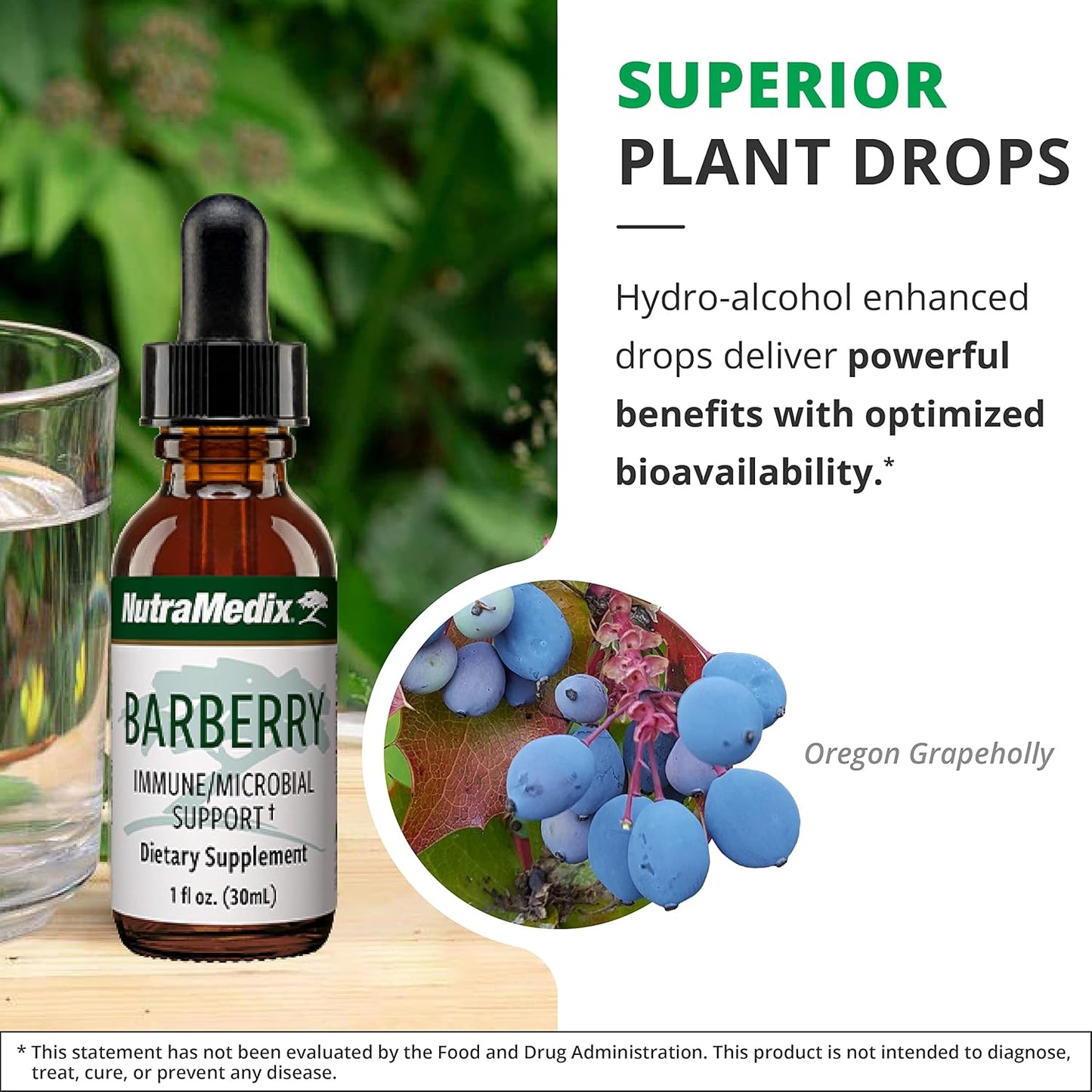 Liquid Barberry & Oregon Grape Root Extract for Gut Health & Immune Support - Herbal Tincture for Microbial Support - 1oz Bottle