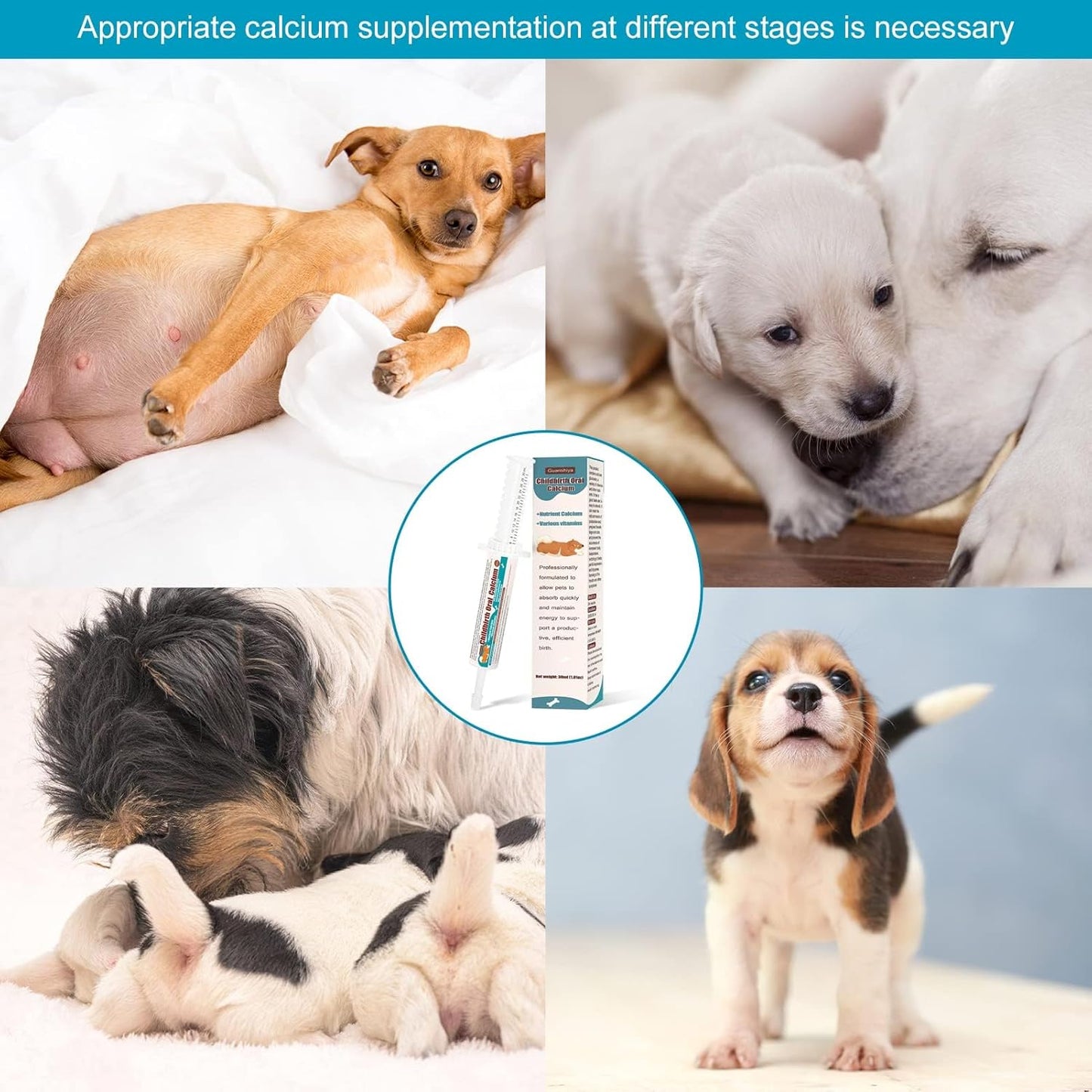 Liquid Calcium Supplement for Dogs - Fast Absorbing Oral Calcium for Whelping and Nursing - Supports Efficient Labor and Calcium Deficiency - 30 cc