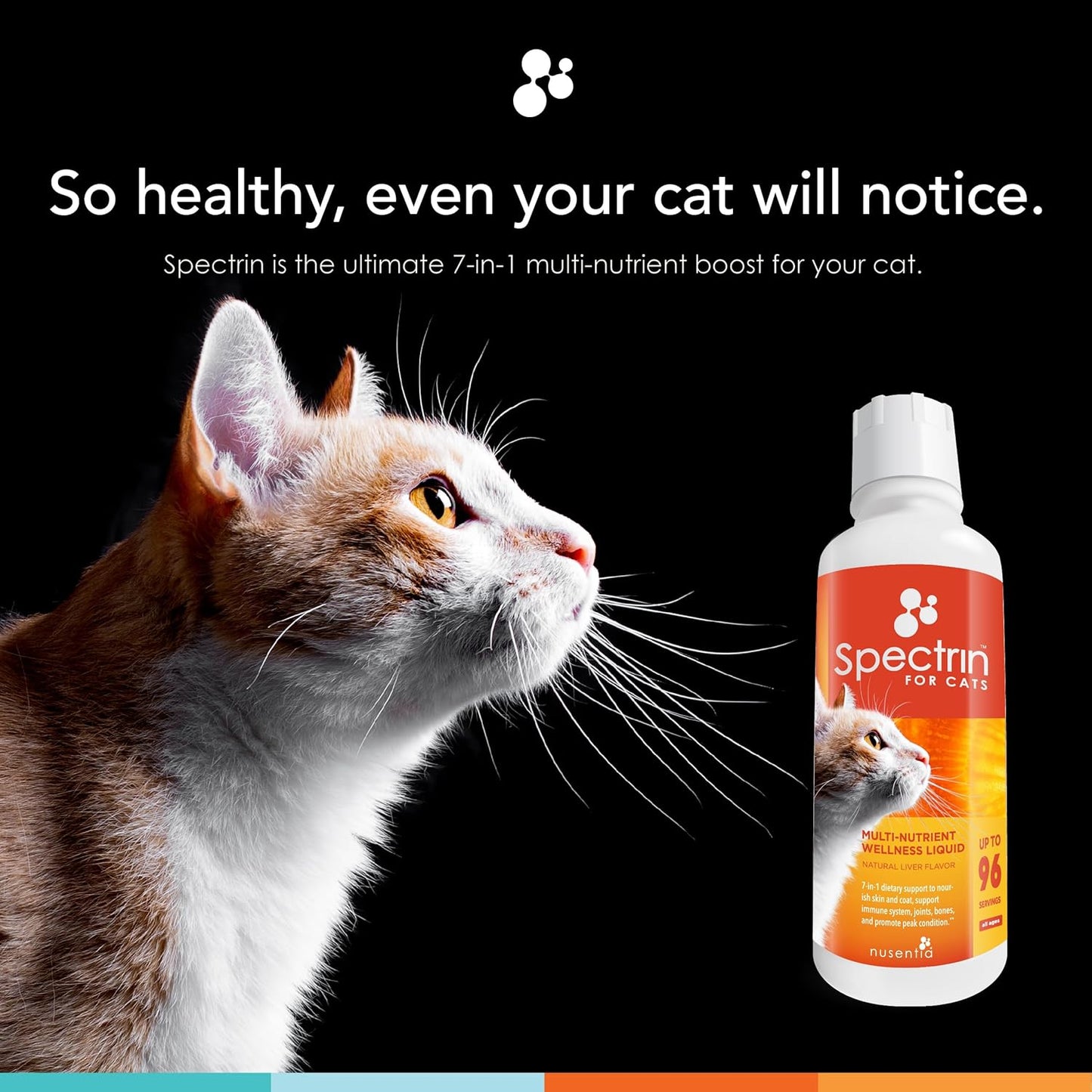 Liquid Cat Vitamins & Antioxidant Supplement - NUSENTIA Spectrin 16 OZ - 96 Doses