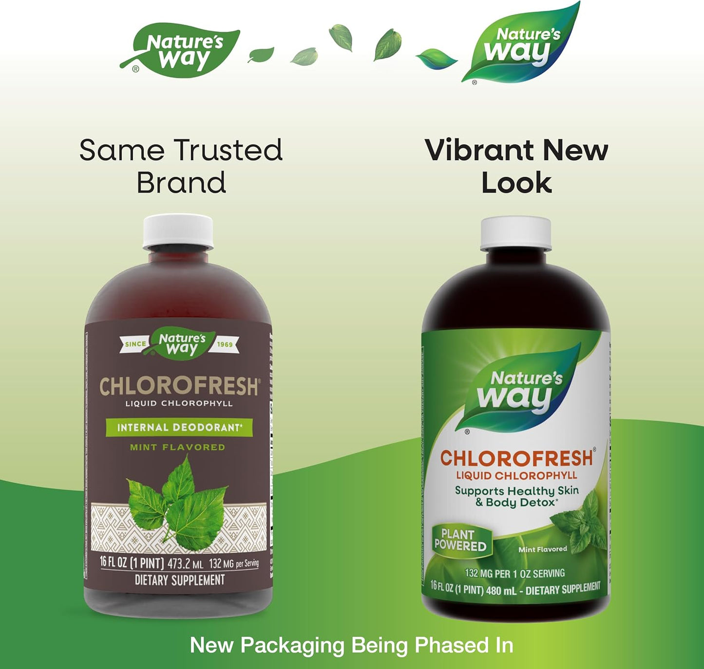 Liquid Chlorophyll by Nature's Way - Mint Flavored Internal Deodorant & Body Detox Support - 16 Fl. Oz