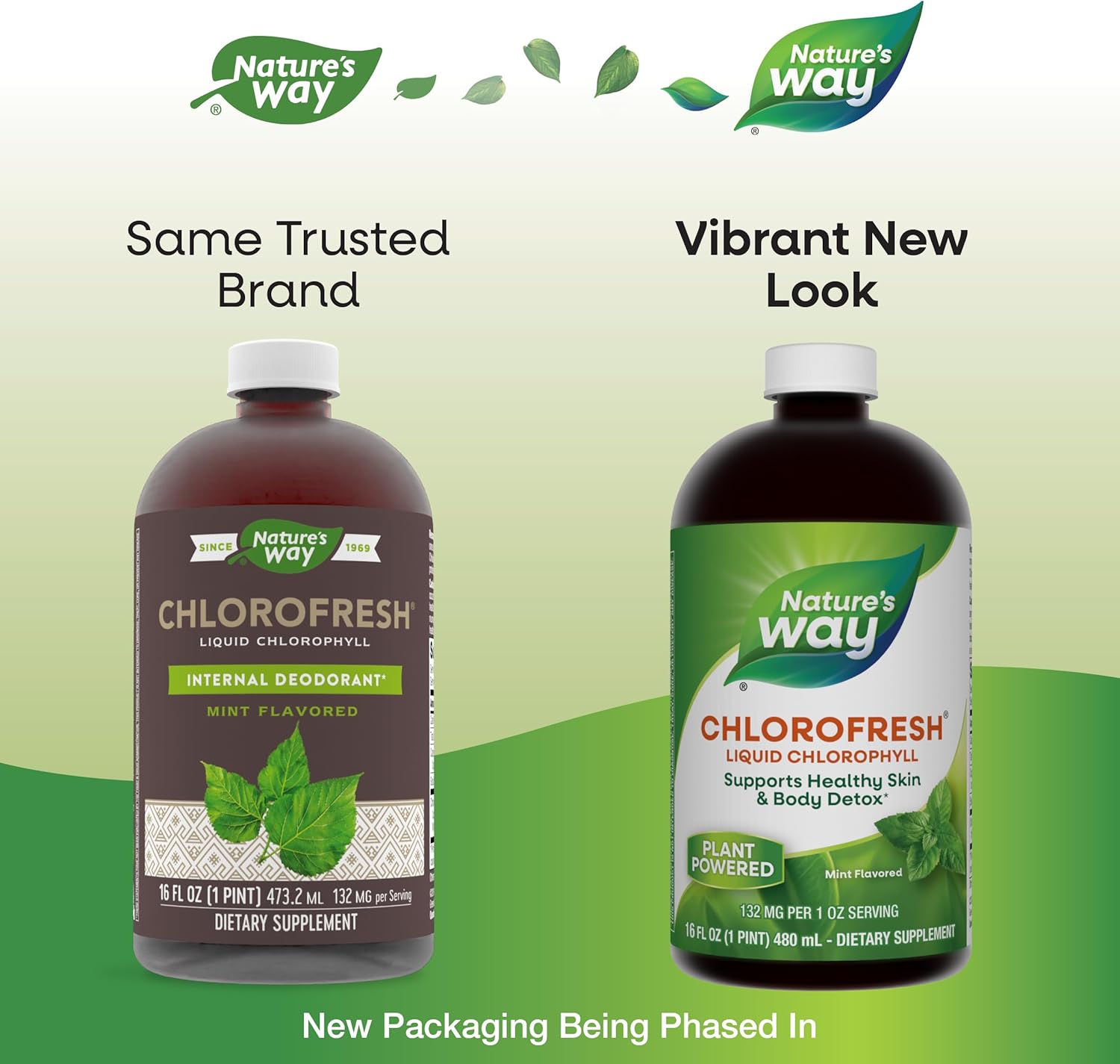 Liquid Chlorophyll by Nature's Way - Mint Flavored Internal Deodorant & Body Detox Support - 16 Fl. Oz