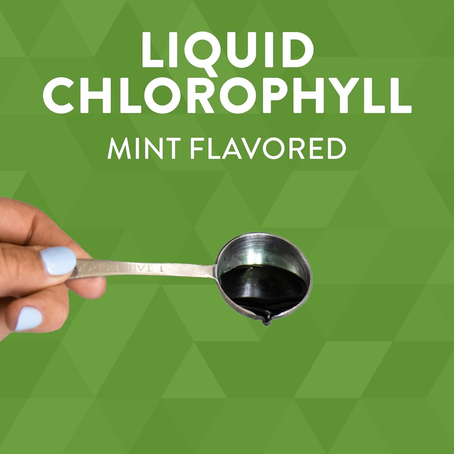 Liquid Chlorophyll by Nature's Way - Mint Flavored Internal Deodorant & Body Detox Support - 16 Fl. Oz