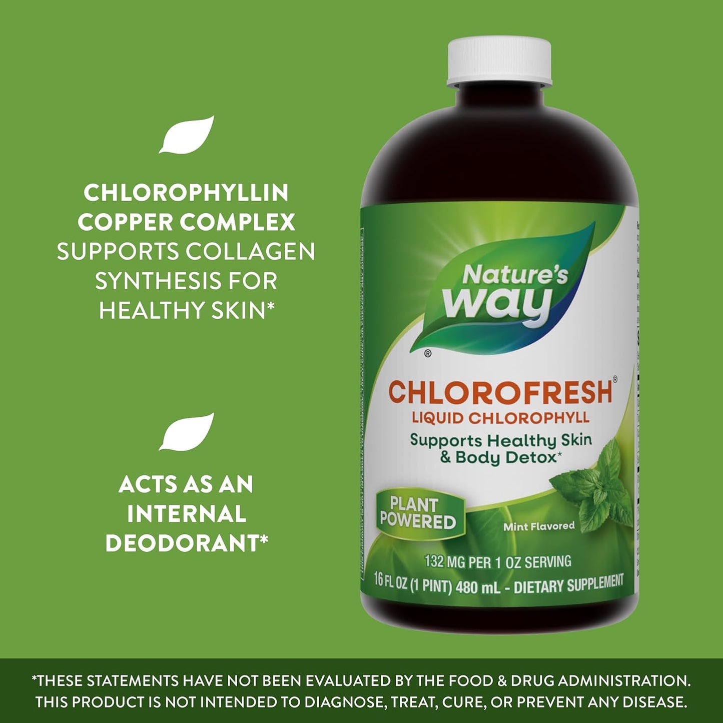 Liquid Chlorophyll by Nature's Way - Mint Flavored Internal Deodorant & Body Detox Support - 16 Fl. Oz
