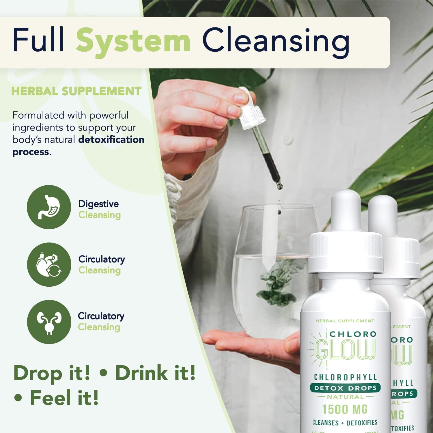 Liquid Chlorophyll Drops - Immunity Booster, Metabolism & Immune Support, Natural Detox - 2 Pack