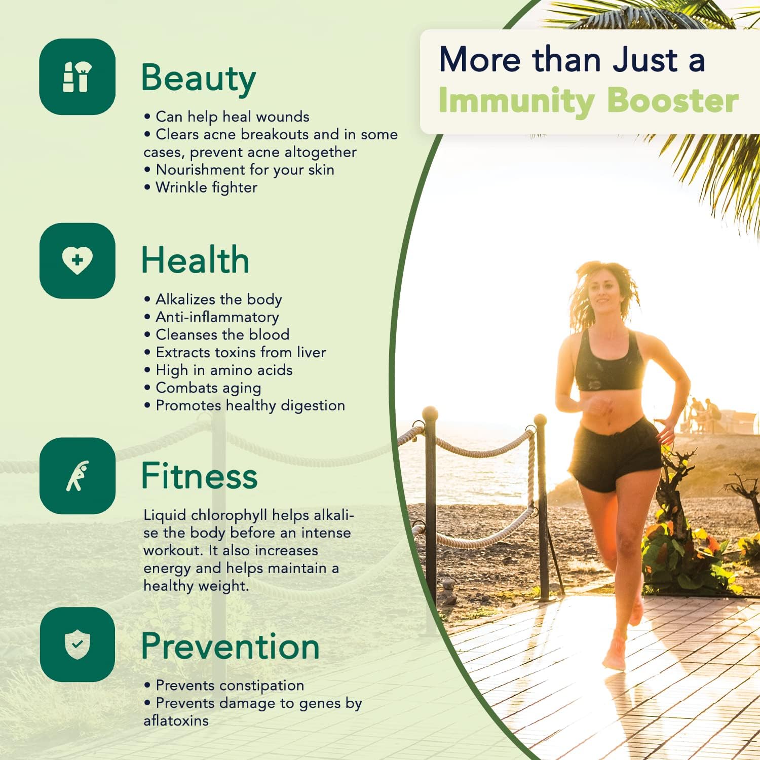 Liquid Chlorophyll Drops - Immunity Booster, Metabolism & Immune Support, Natural Detox - 2 Pack