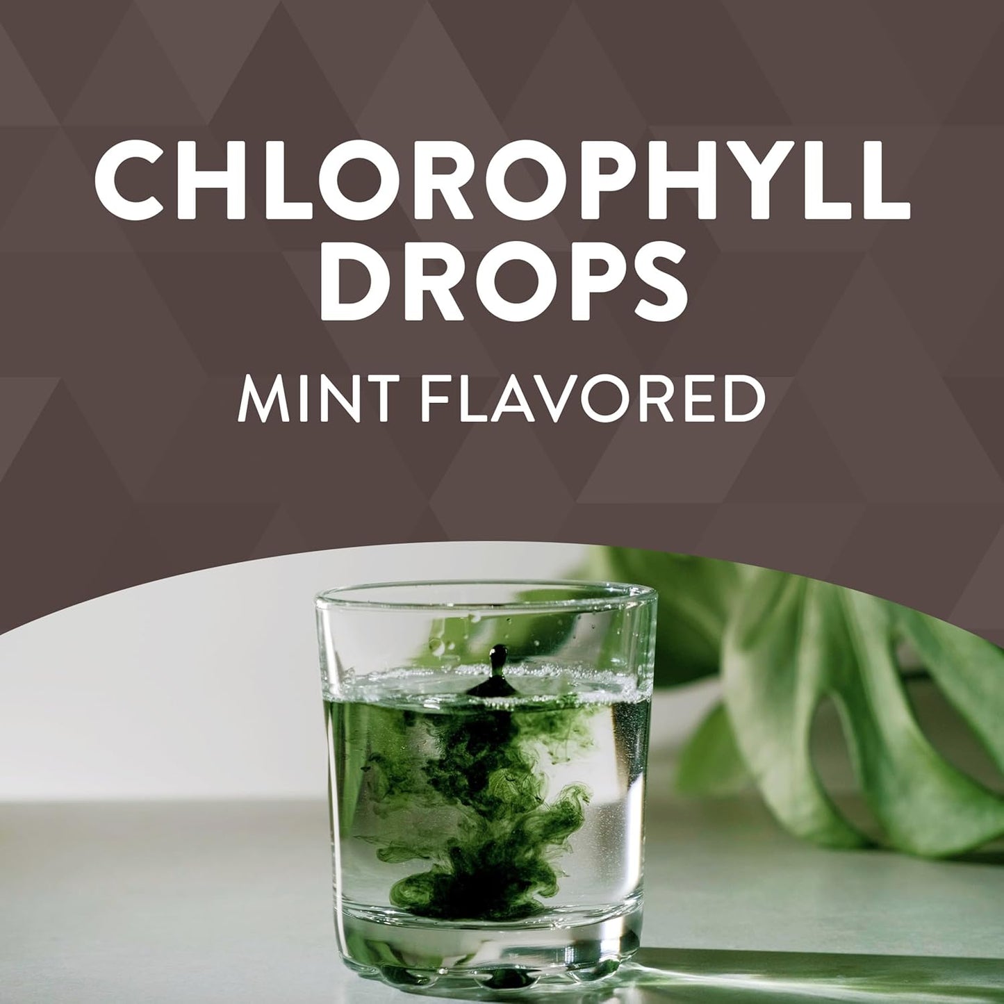Liquid Chlorophyll Drops by Nature's Way, 2 Fl. Oz., Mint Flavored, Internal Deodorant, Supports Detox, Chlorofresh Concentrate