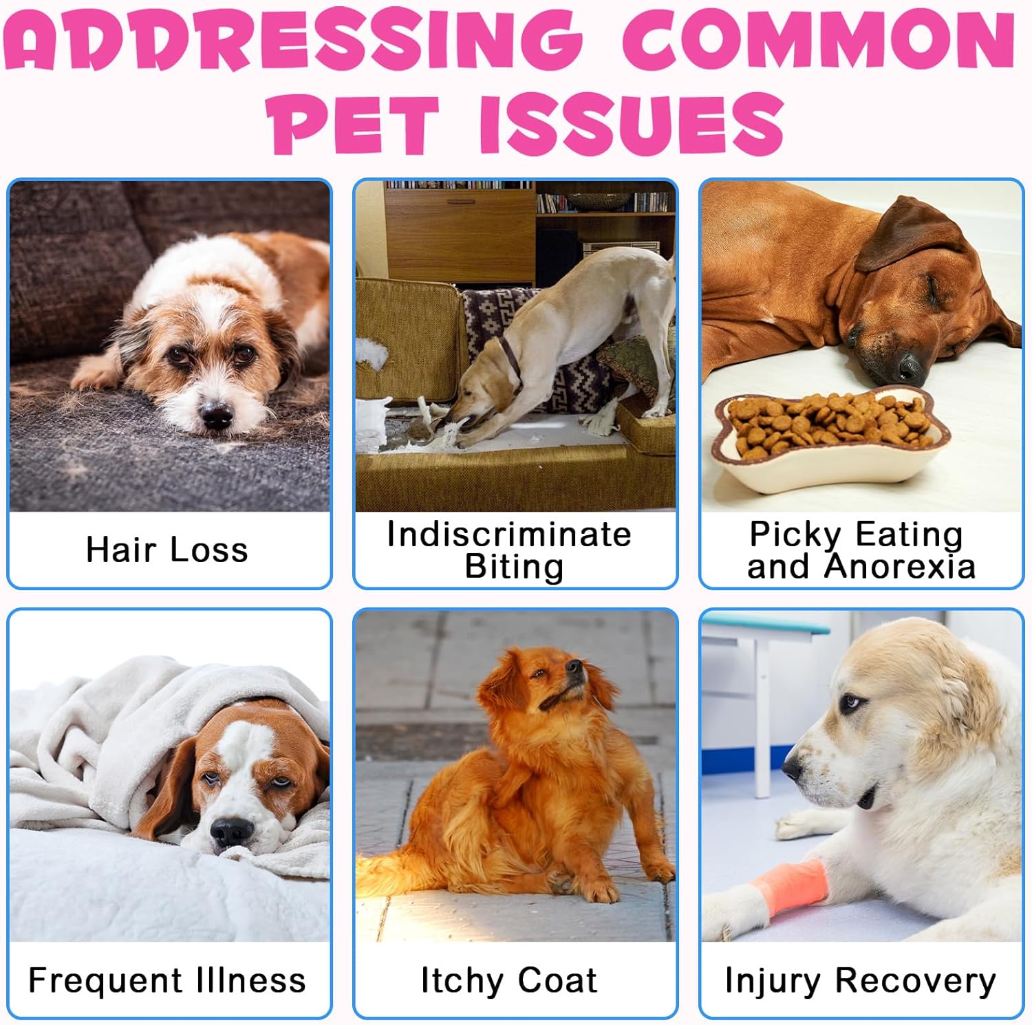 Liquid Collagen Supplement for Dogs with Biotin, MSM & Ginger - Skin and Coat Treatment - 60ml