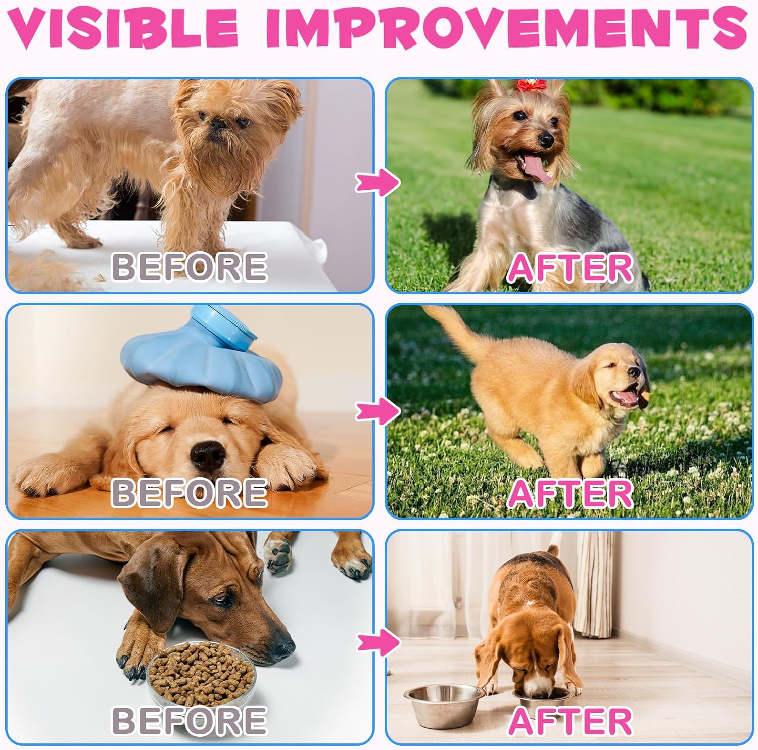 Liquid Collagen Supplement for Dogs with Biotin, MSM & Ginger - Skin and Coat Treatment - 60ml