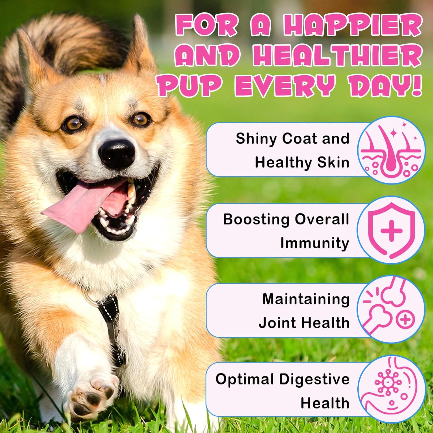 Liquid Collagen Supplement for Dogs with Biotin, MSM & Ginger - Skin and Coat Treatment - 60ml