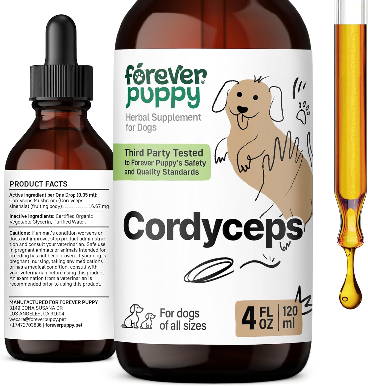 Liquid Cordyceps Mushroom Extract for Dogs - Kidney Cleanse & Energy Support - Canine Health Supplement - 4 oz