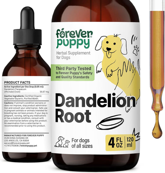 Liquid Dandelion Root Kidney Health Supplement for Dogs - Cleansing Drops for Large, Medium, Small Breeds - Detox Formula with Dandelion Extract - 4 oz Bottle