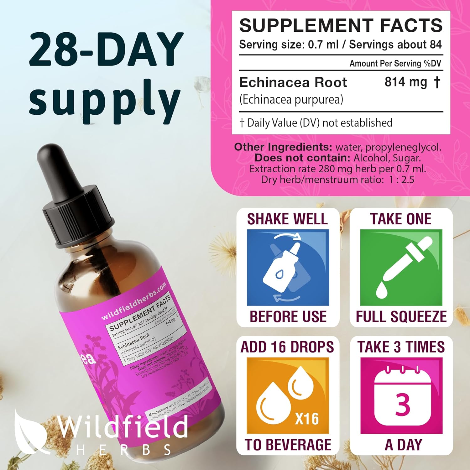 Liquid Echinacea Extract Drops - 2440mg Echinacea Root Tincture, 2 Month Supply, Alcohol-Free - 4 Oz, Pack of 2