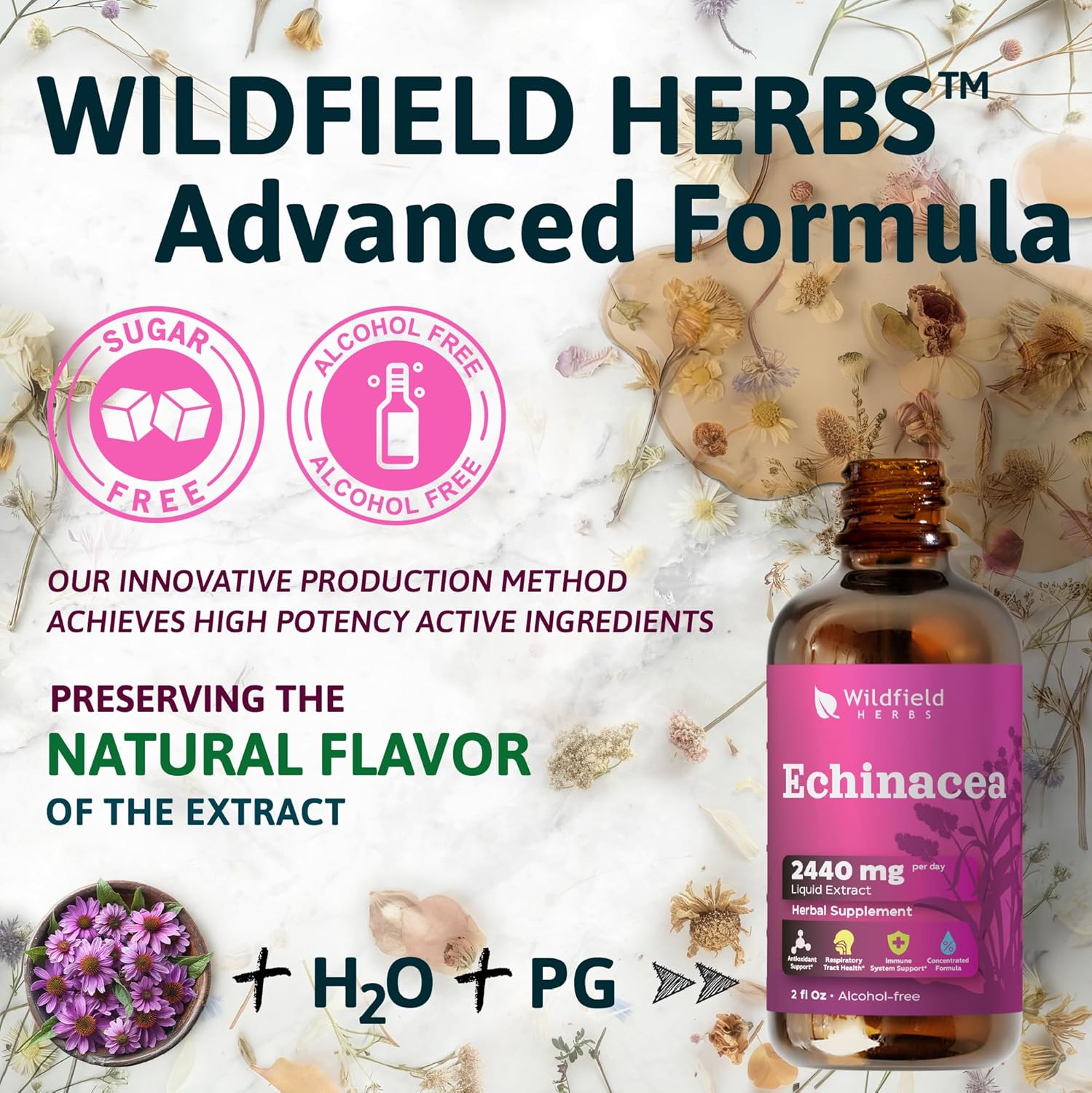 Liquid Echinacea Extract Drops - 2440mg Echinacea Root Tincture, 2 Month Supply, Alcohol-Free - 4 Oz, Pack of 2