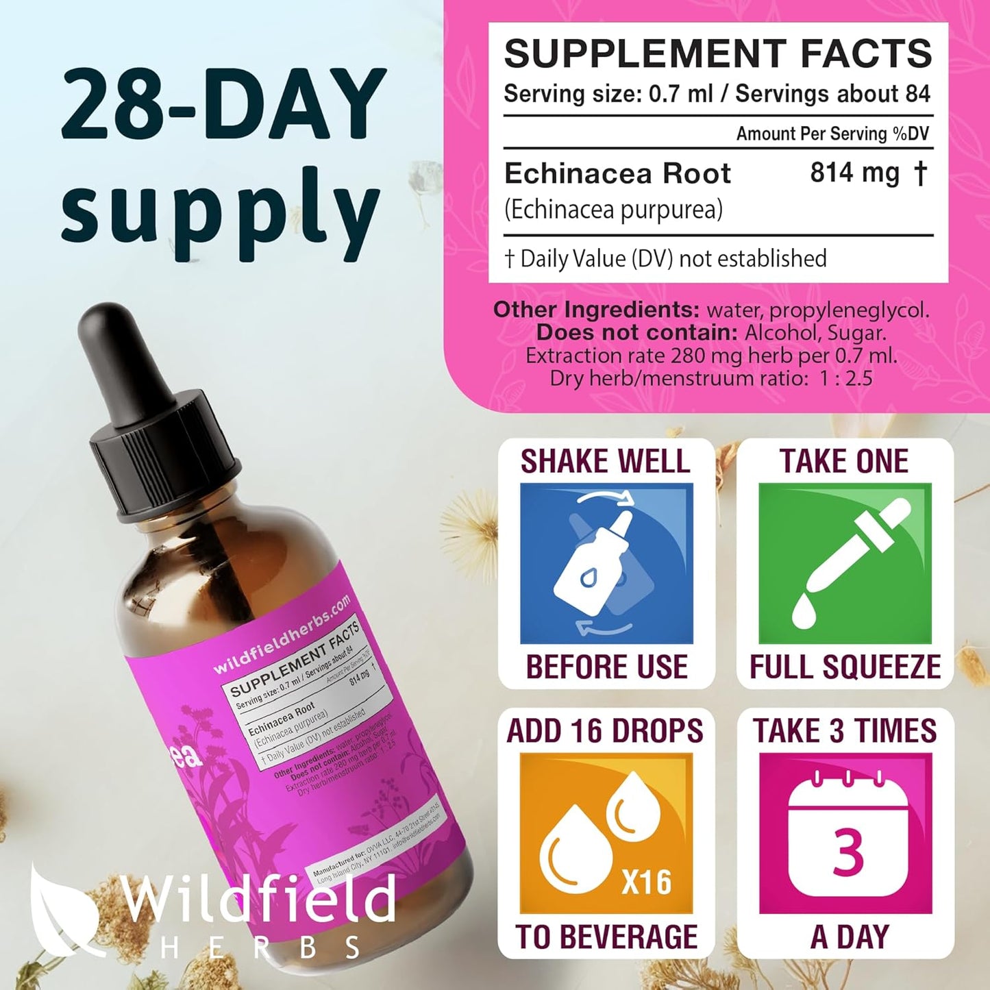 Liquid Echinacea Root Drops Tincture 2440mg - Herbal Supplement, Alcohol-Free, 1 Month Supply - 2 Oz, Pack of 1