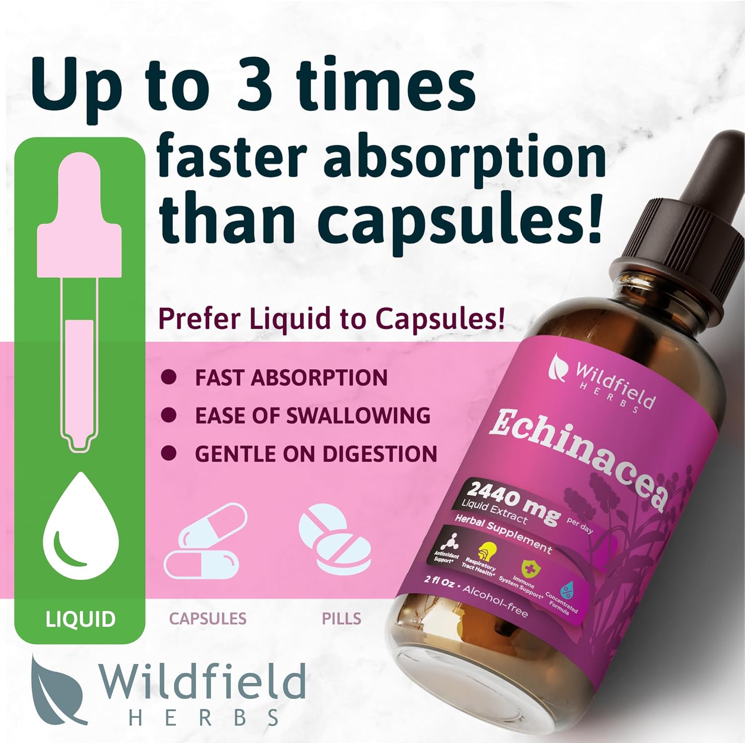 Liquid Echinacea Root Drops Tincture 2440mg - Herbal Supplement, Alcohol-Free, 1 Month Supply - 2 Oz, Pack of 1