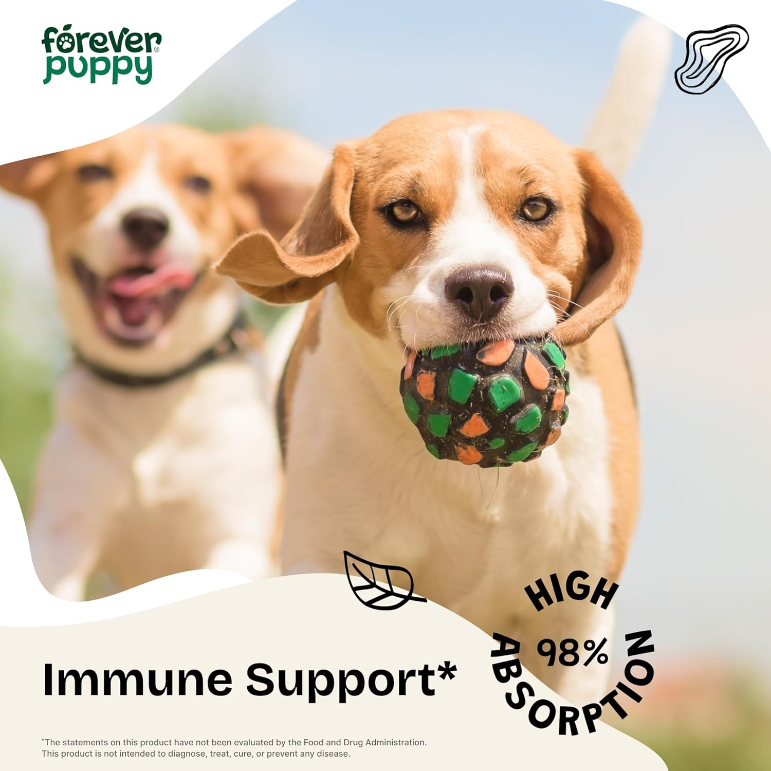 Liquid Immune Support Supplement for Dogs - Echinacea Drops for Respiratory Health & Immunity - 2 oz Bottle for All Breeds & Sizes