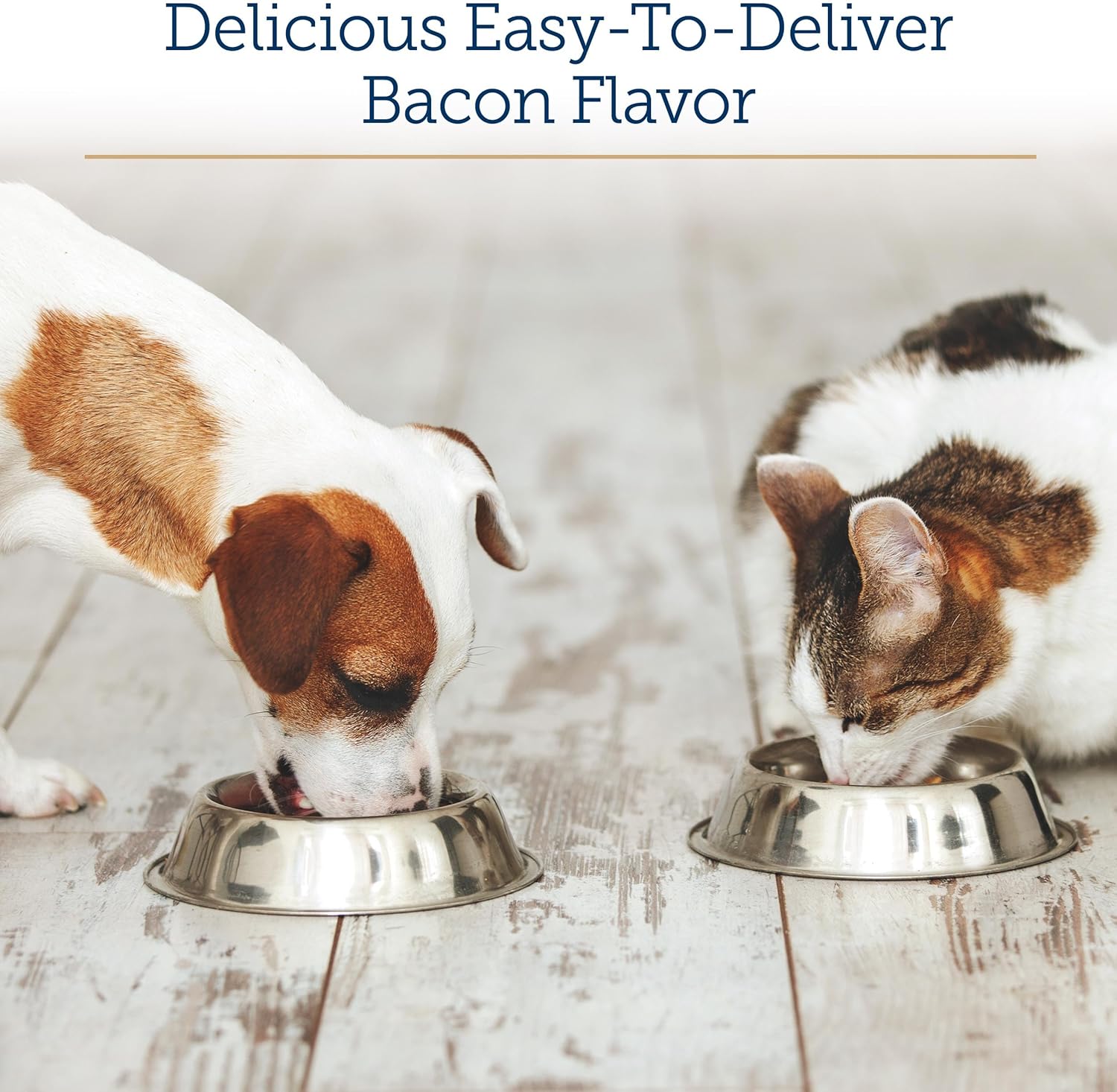 Liquid Immune Support Supplement for Dogs and Cats with Reishi Mushroom and L-Lysine - Enhances Immunity and Eye Health - 4 oz Bottle