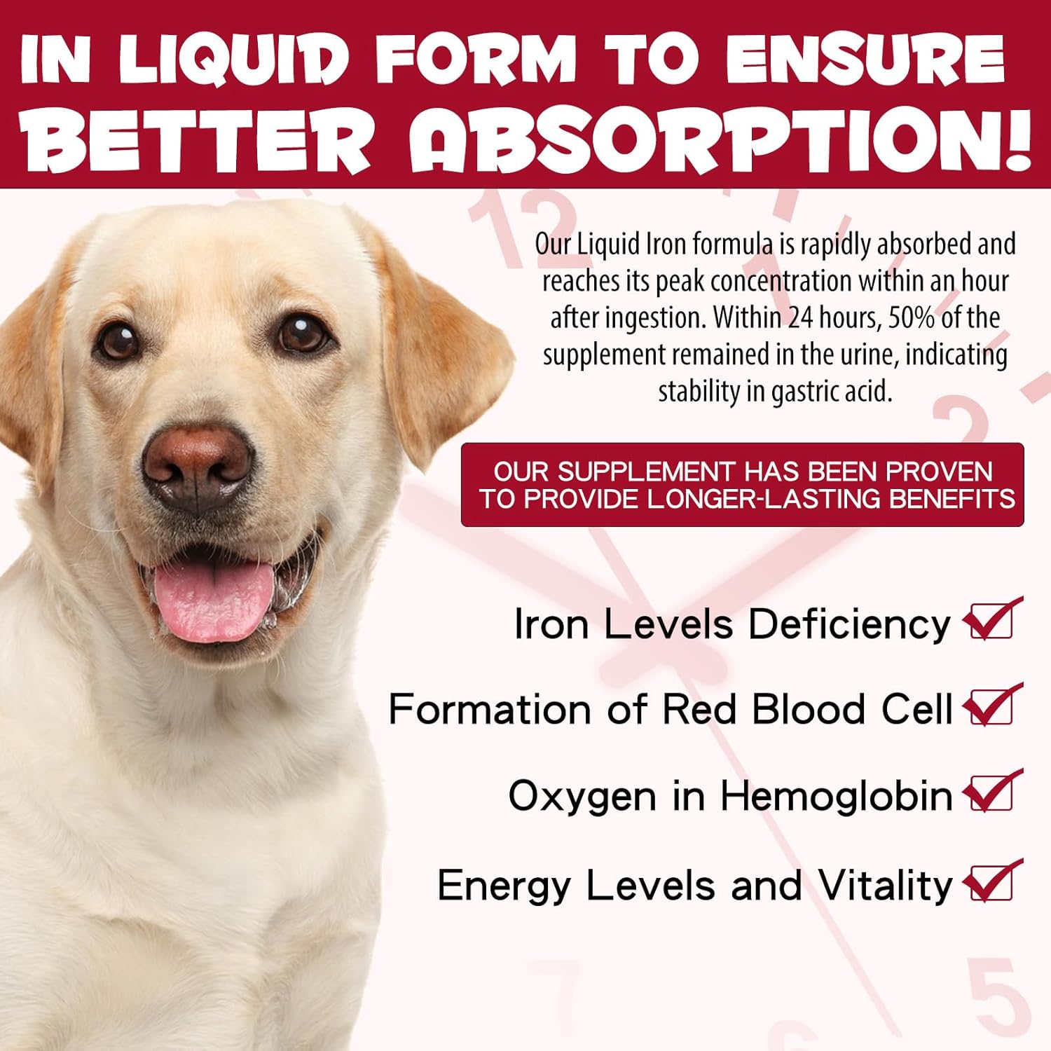 Liquid Iron Drops for Dogs with Folate & Vitamin B12 - Promotes Blood Health, Anemia Relief, Energy Boost - Caramel Flavor - 60ml
