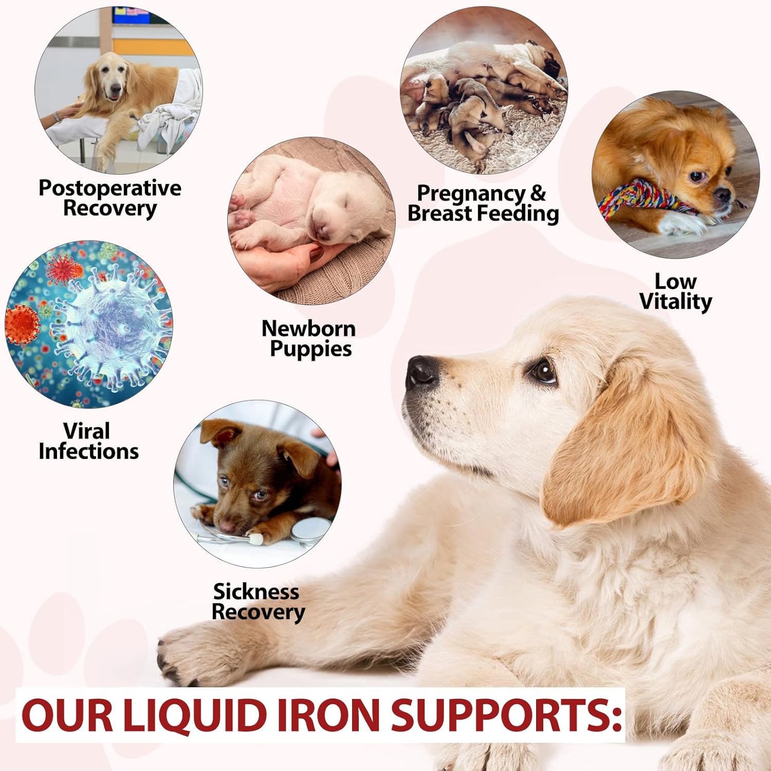 Liquid Iron Supplement for Dogs with Vitamin C and B12 - Supports Anemia, Energy Levels, and Blood Health, Red Blood Cell Formation